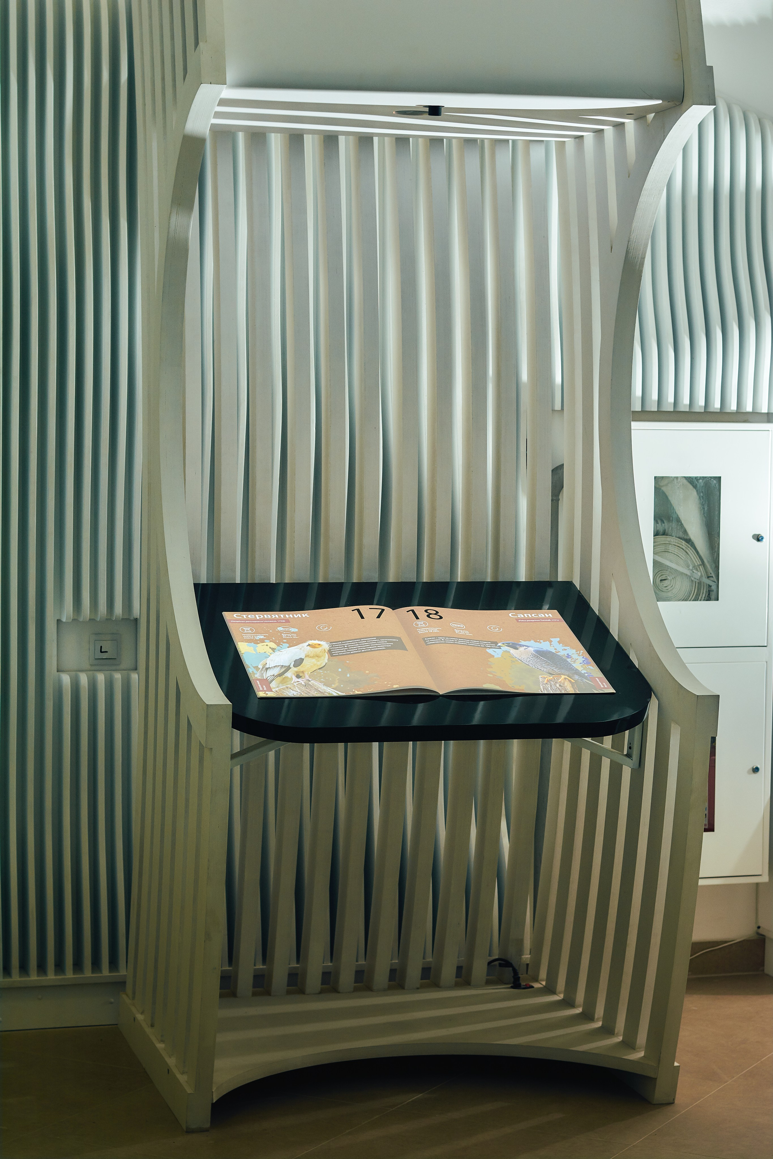 Интерьерная съемка Визит-центр Национальный парк «Кисловодский». Константин Кордонский | Интерьерный и food-фотограф в Кисловодске и КМВ