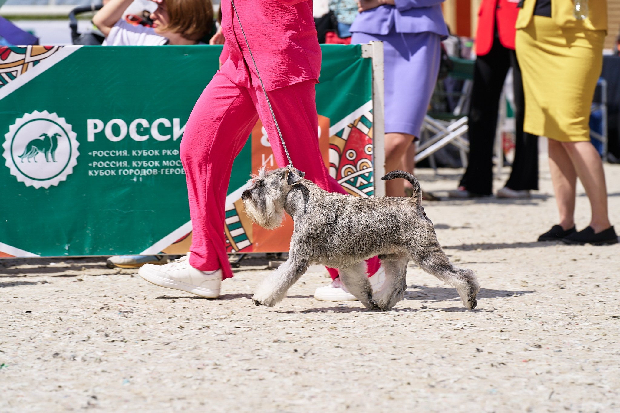 09.06.2024, «РОССИЯ. КУБОК МОСКВЫ 2024 & КУБОК ГОРОДОВ-ГЕРОЕВ»