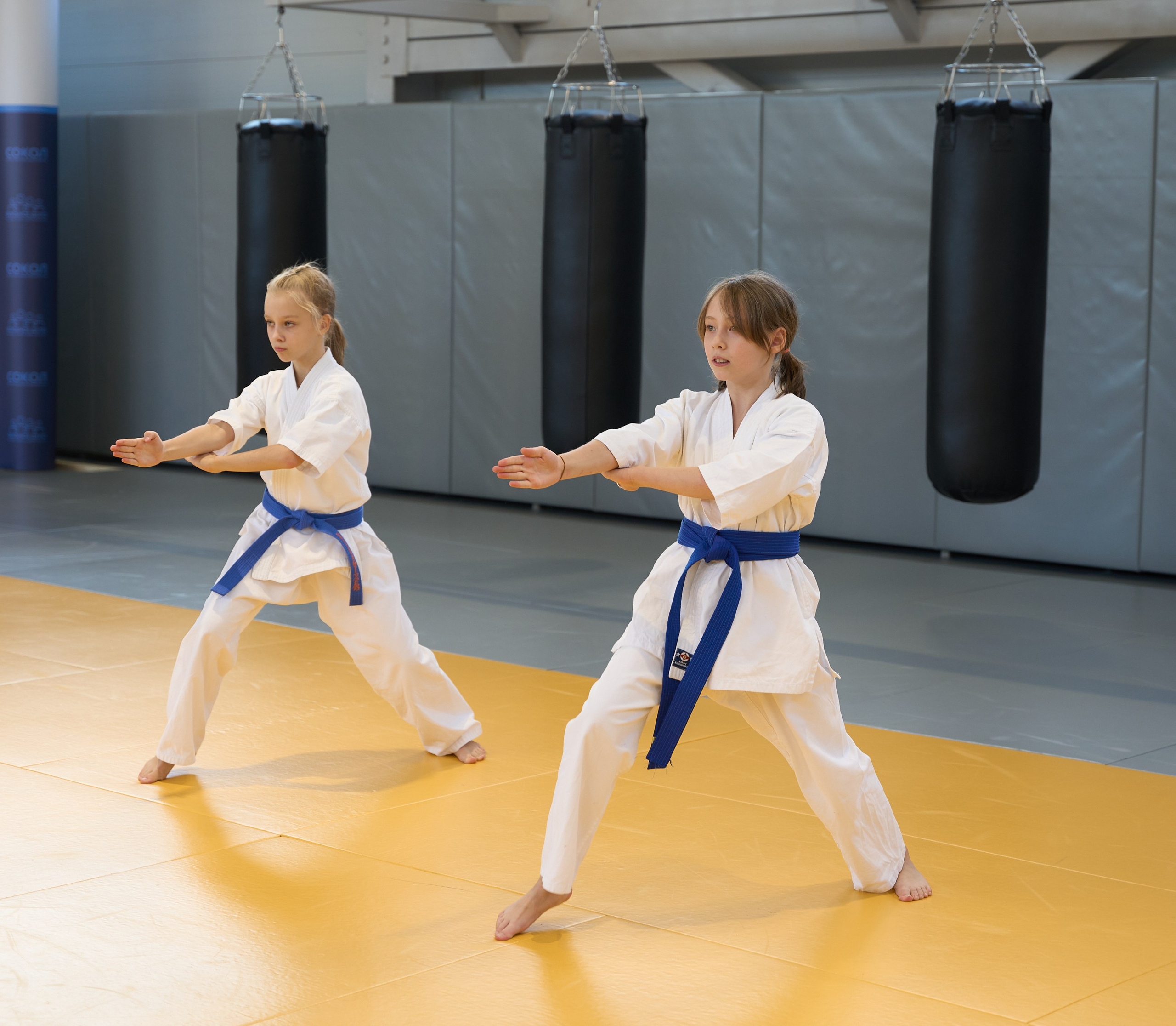 Открытие центров спортивных единоборств «Сокол» Красноярск/Дивногорск. Александр Сазонов Красноярск