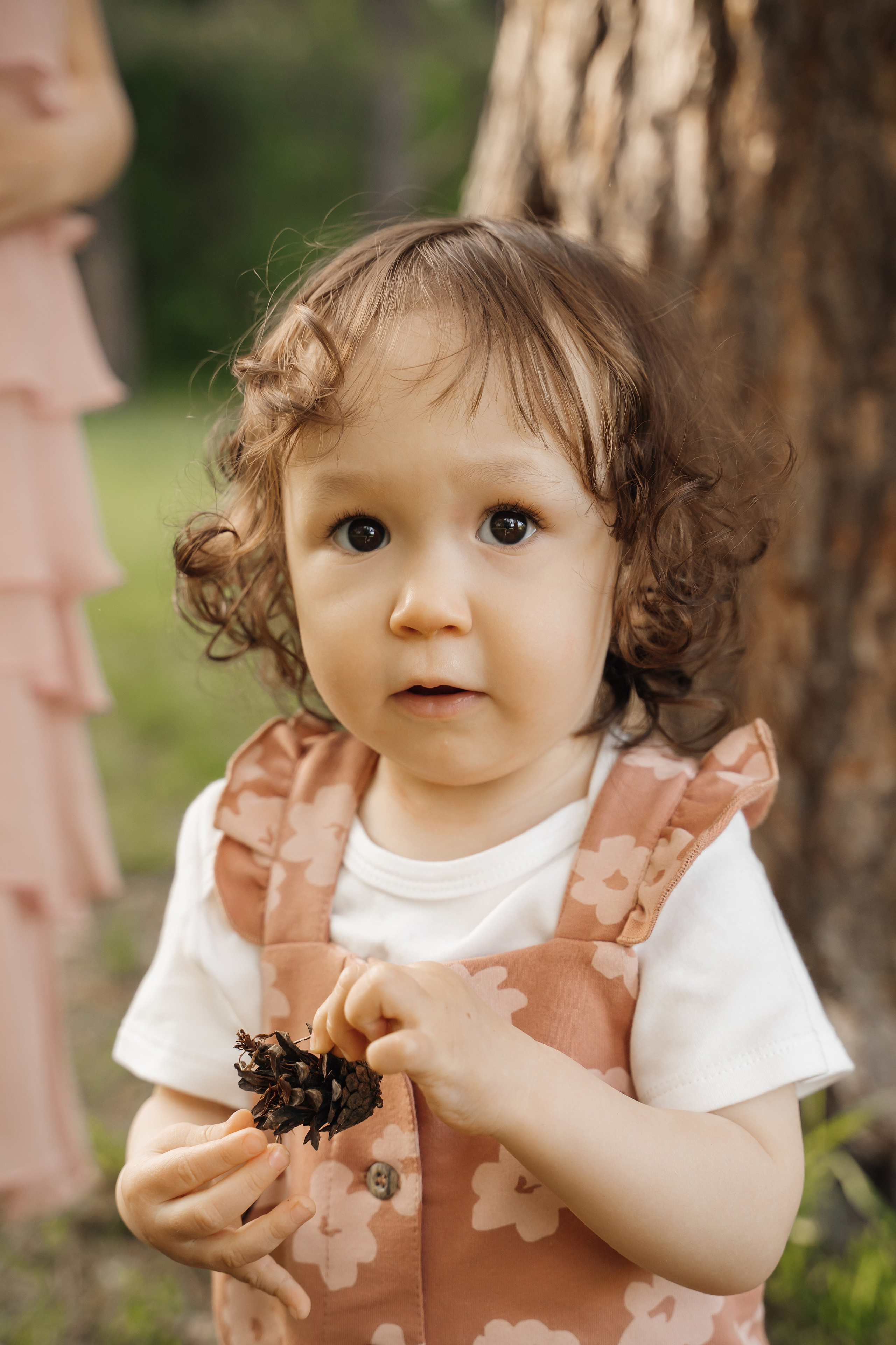 Семейная история с лошадьми. Главная