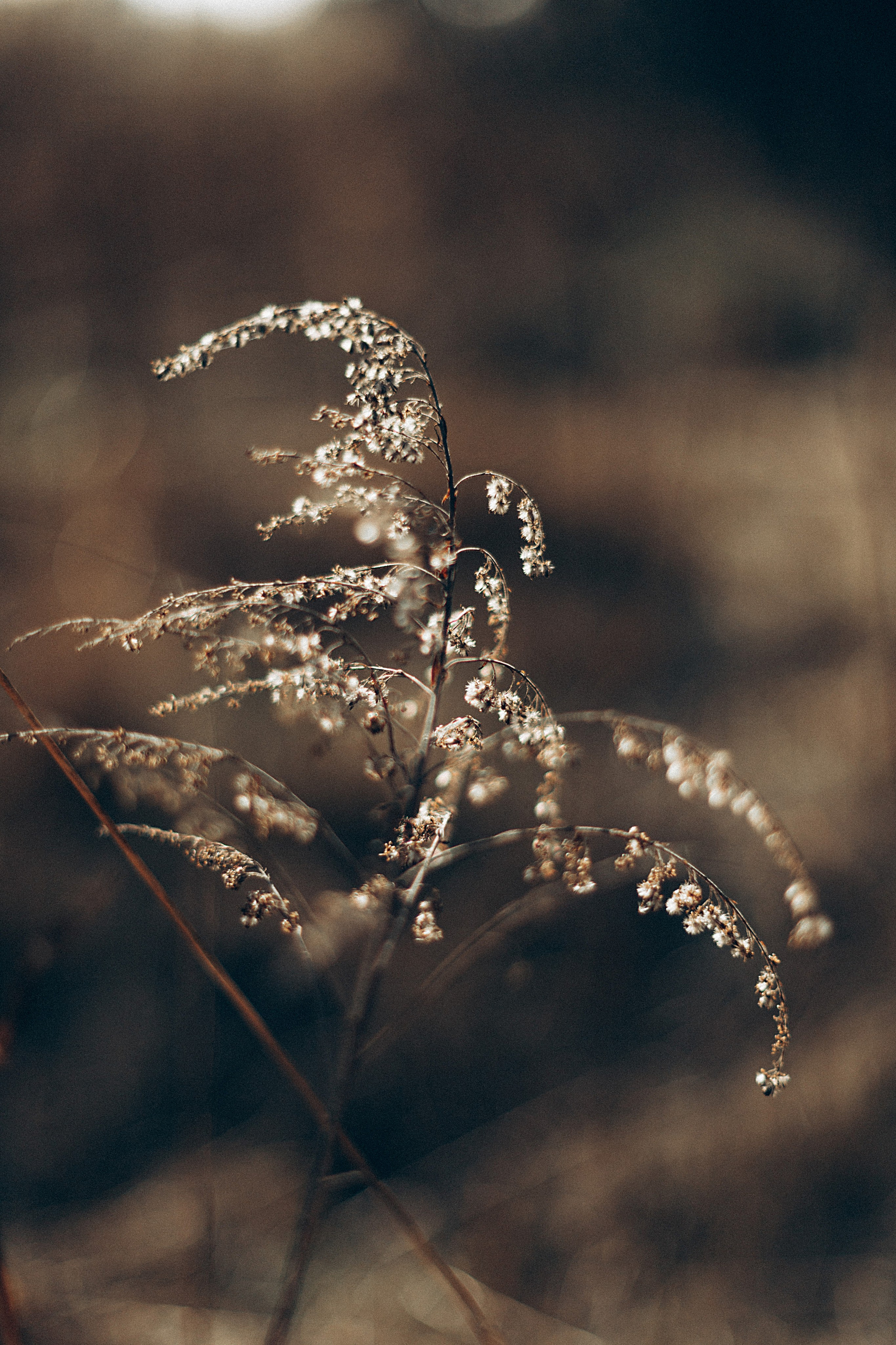 Птицы-самолеты. Репортажный и детский фотограф в Минске