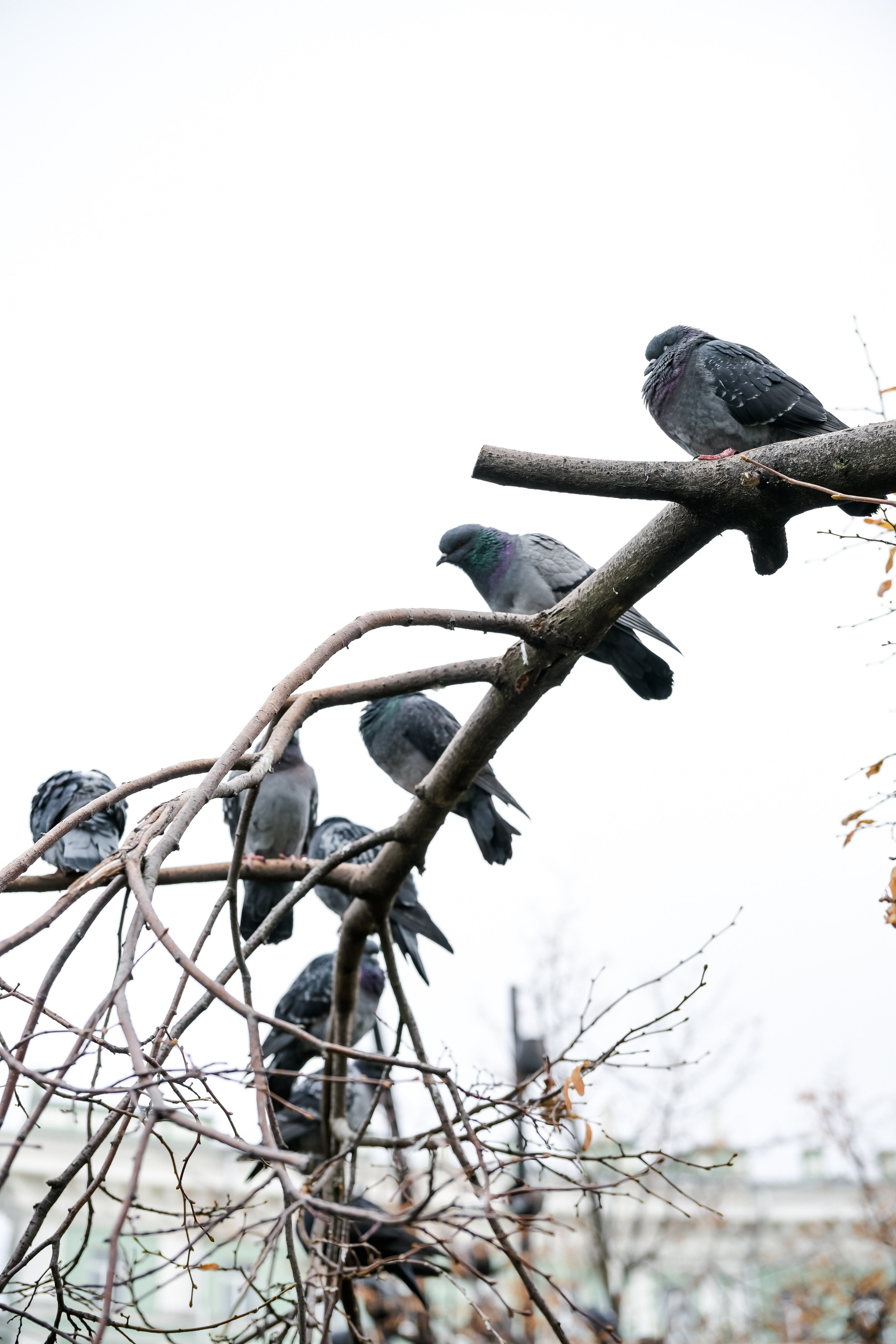 Фотограф в Самаре
