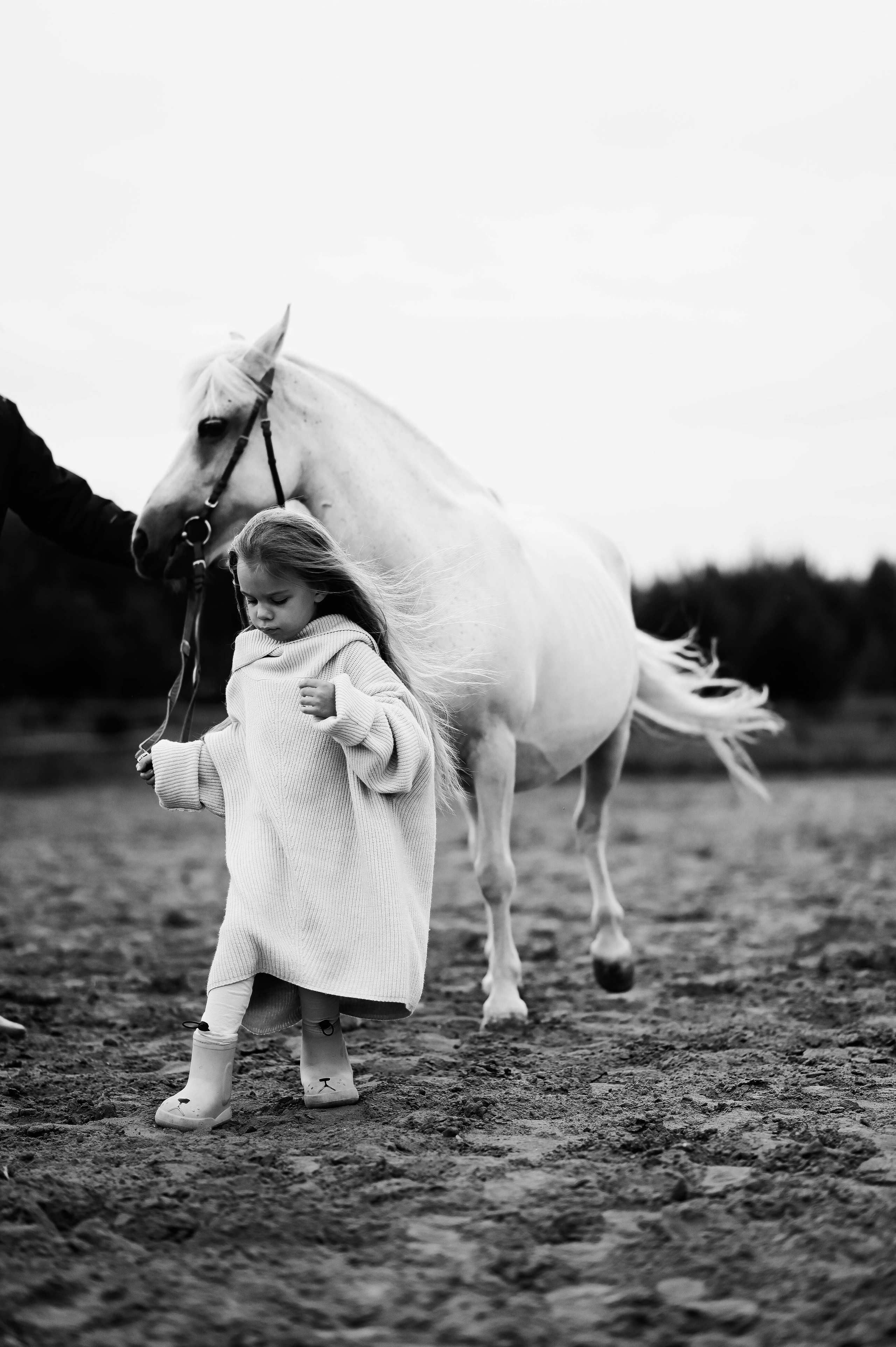 София. Фотограф Казань