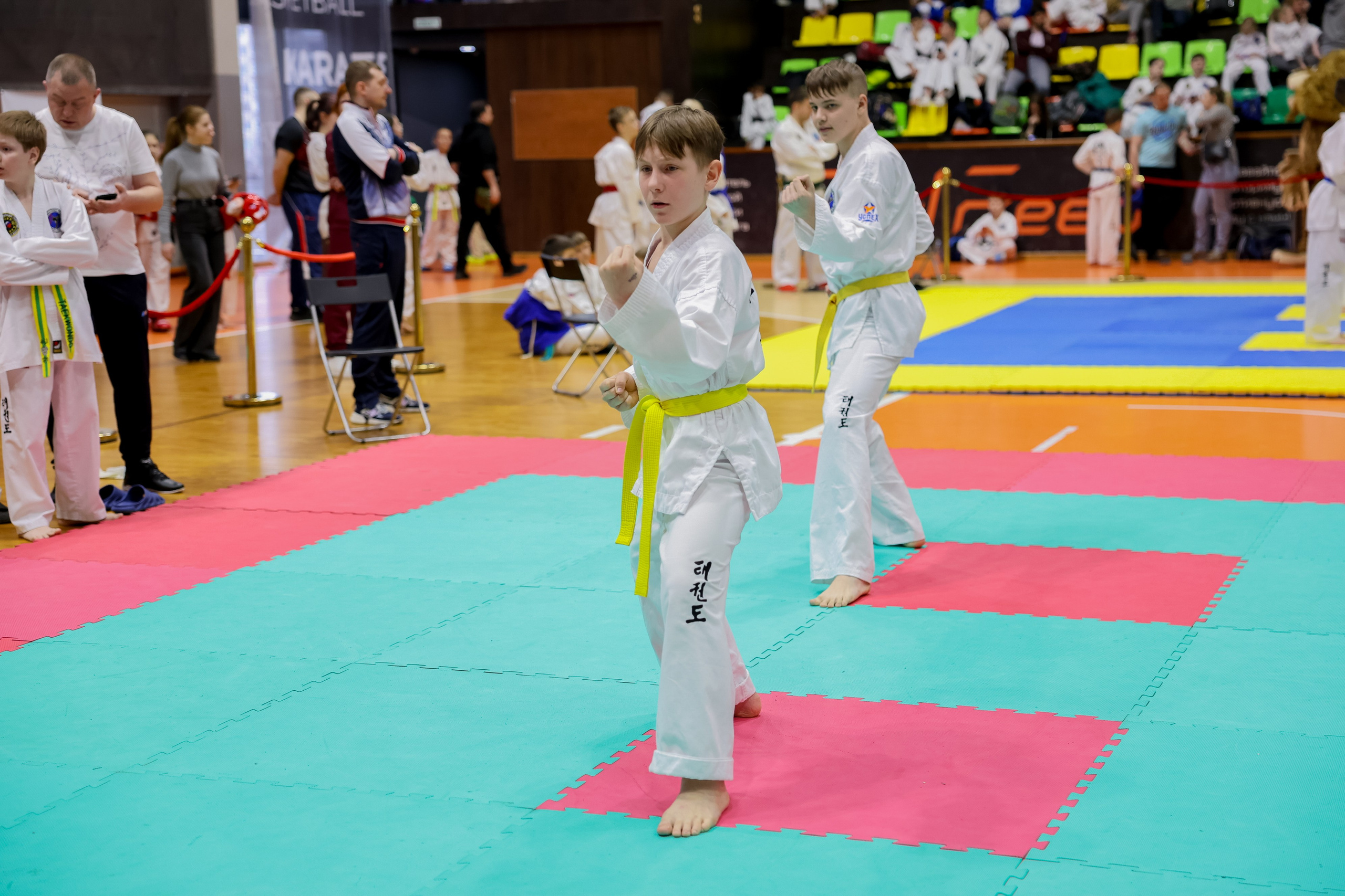 Тхэквондо. Питерский фотограф