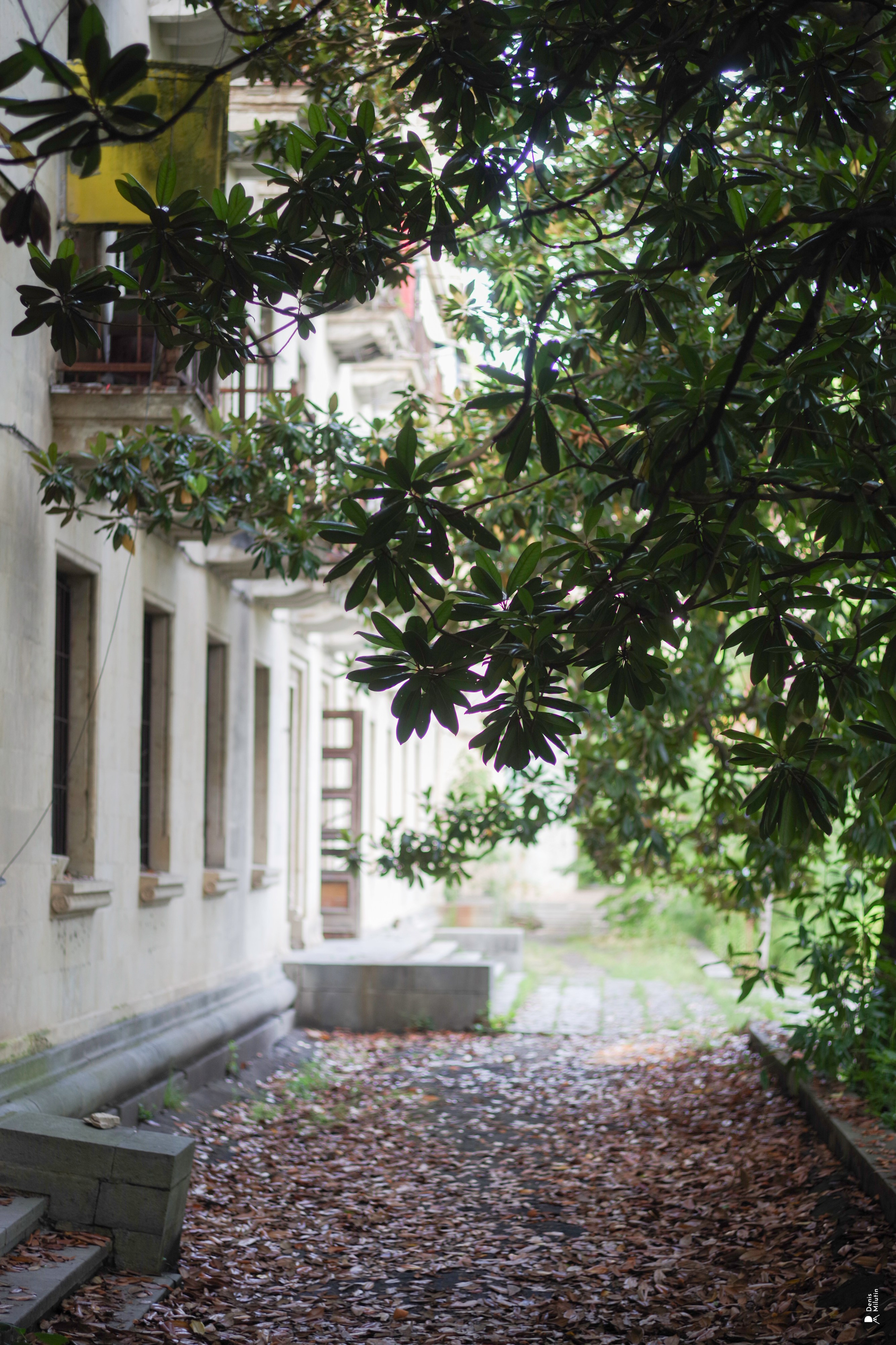 В отпуске с Артёмом. Портретный фотограф Денис Милютин