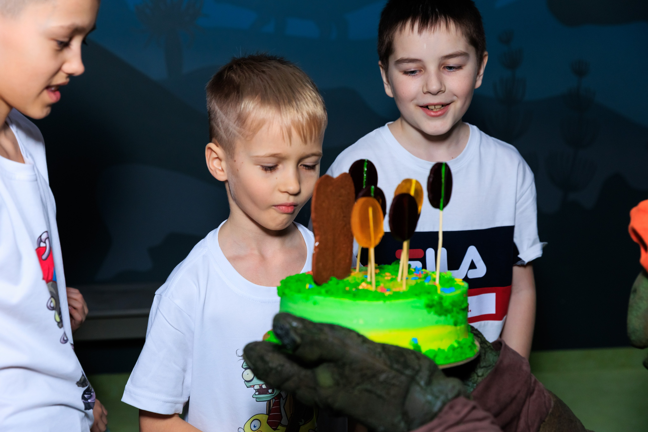 Весёлый остров. Фотограф Новосибирск — Наталья Гресь