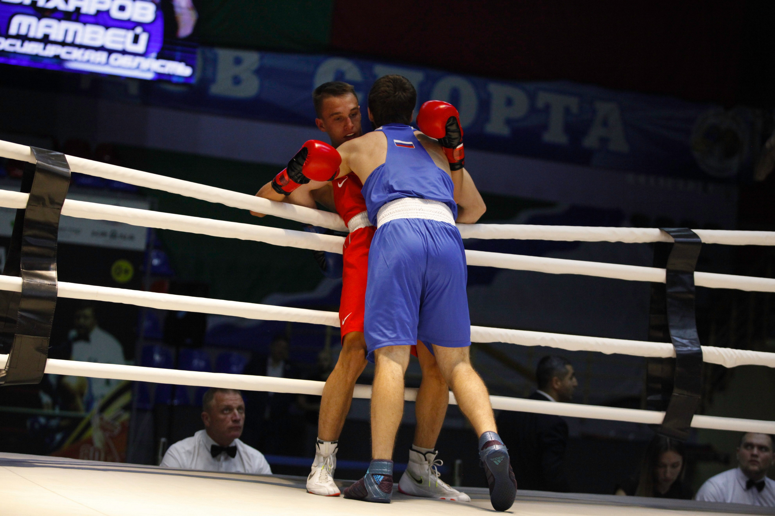 БОКС. Фото. Спортивный фотограф, трансляция, звук и свет в Новосибирске