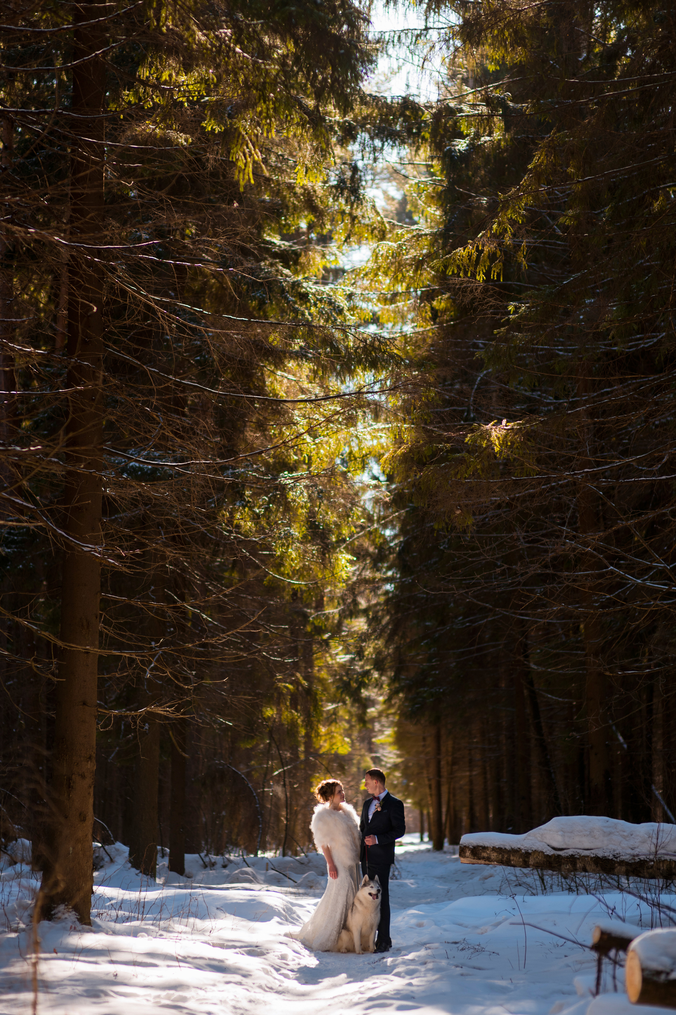 Фотограф на свадьбу. Фотограф Алла Елисеева
