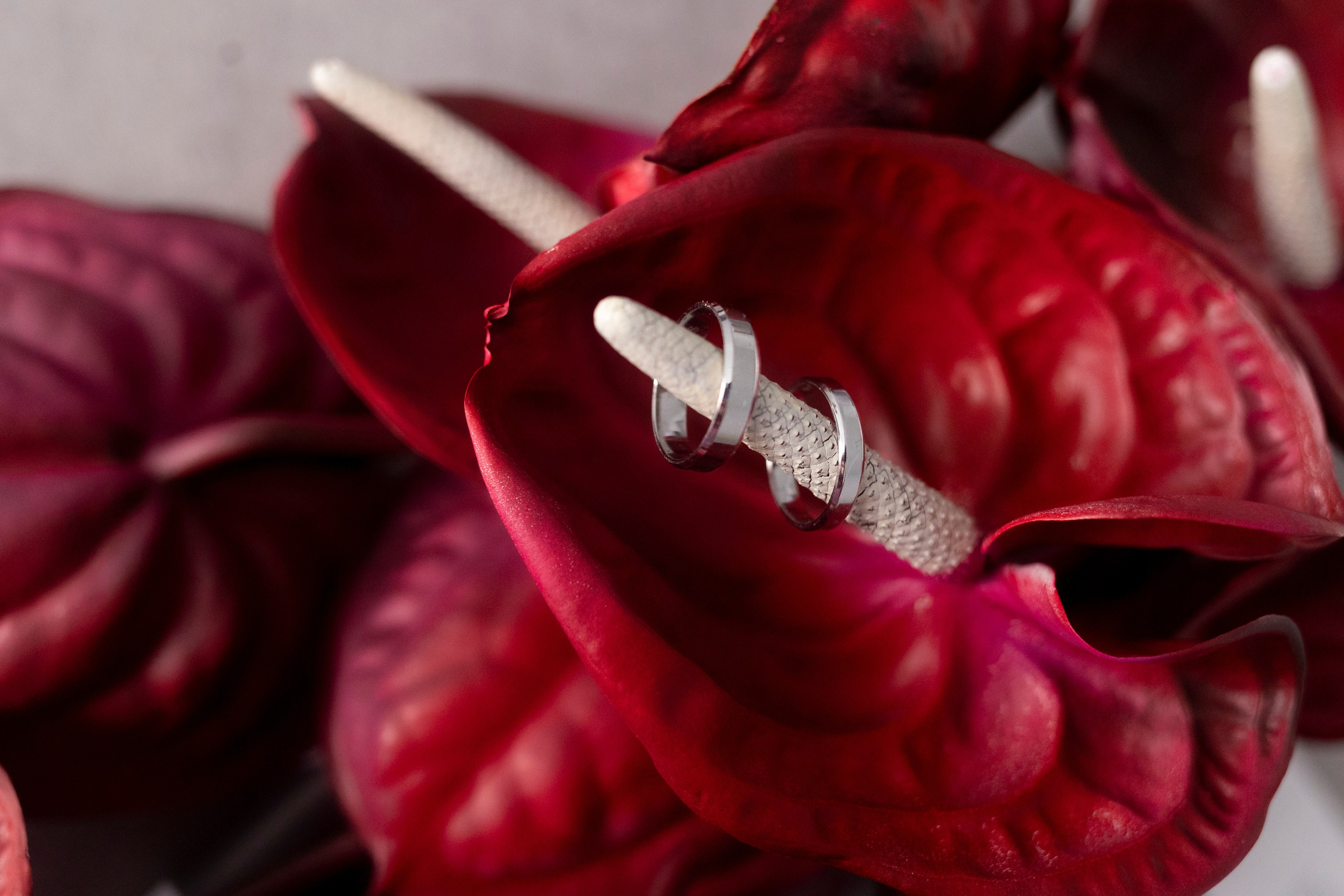 Дарья & Денис. Свадебный фотограф Наталья Молявина