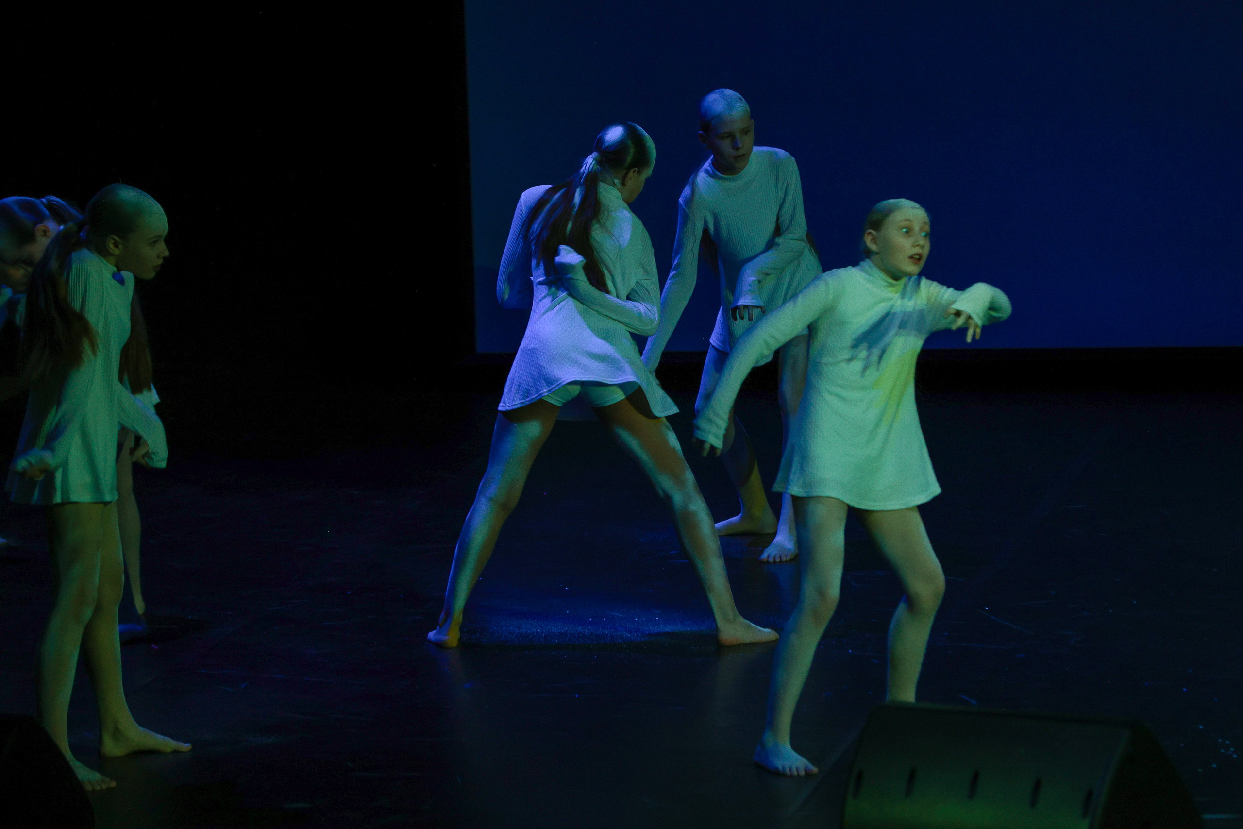 Небесные ласточки на Танц ЭКСПО 2026. Фотограф Юлия Мальцева