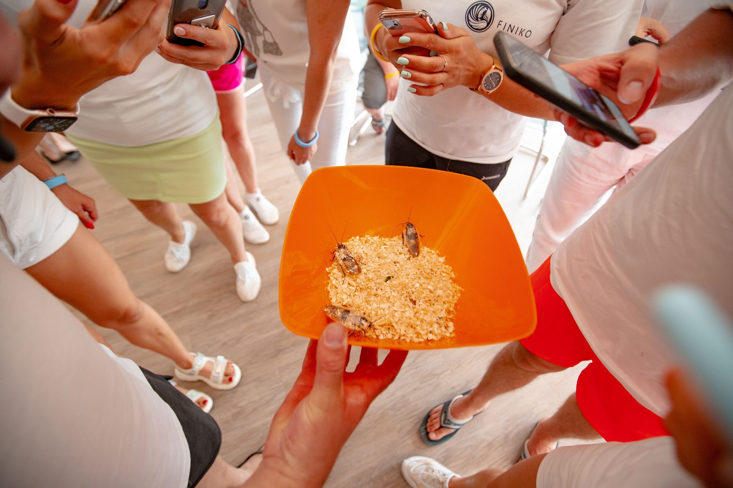 Корпаративный тимбилдинг. Свадебный и репортажный фотограф в Уфе и по России