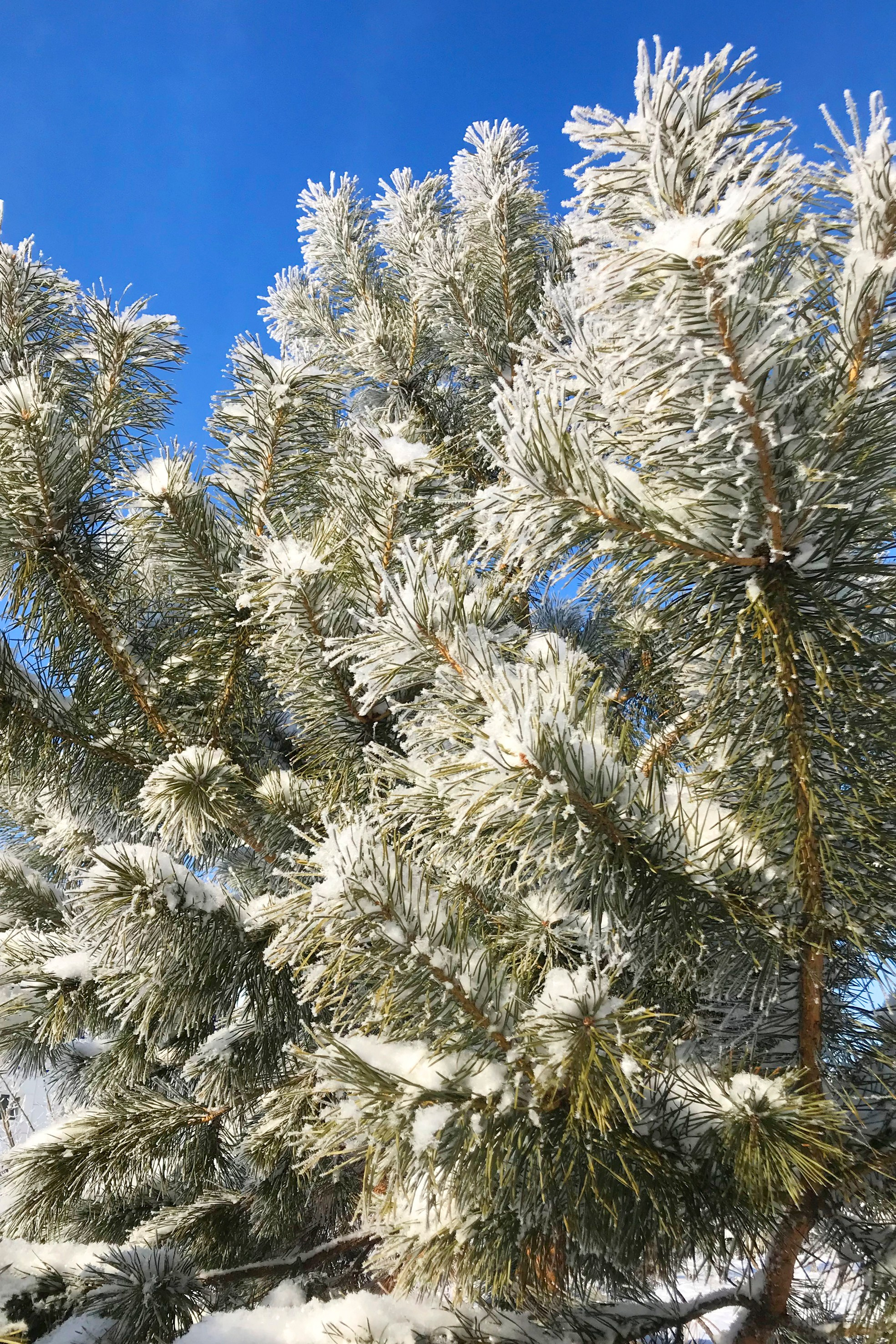 Природа Хабаровского края. Команда фотографов Кристины Ивановой