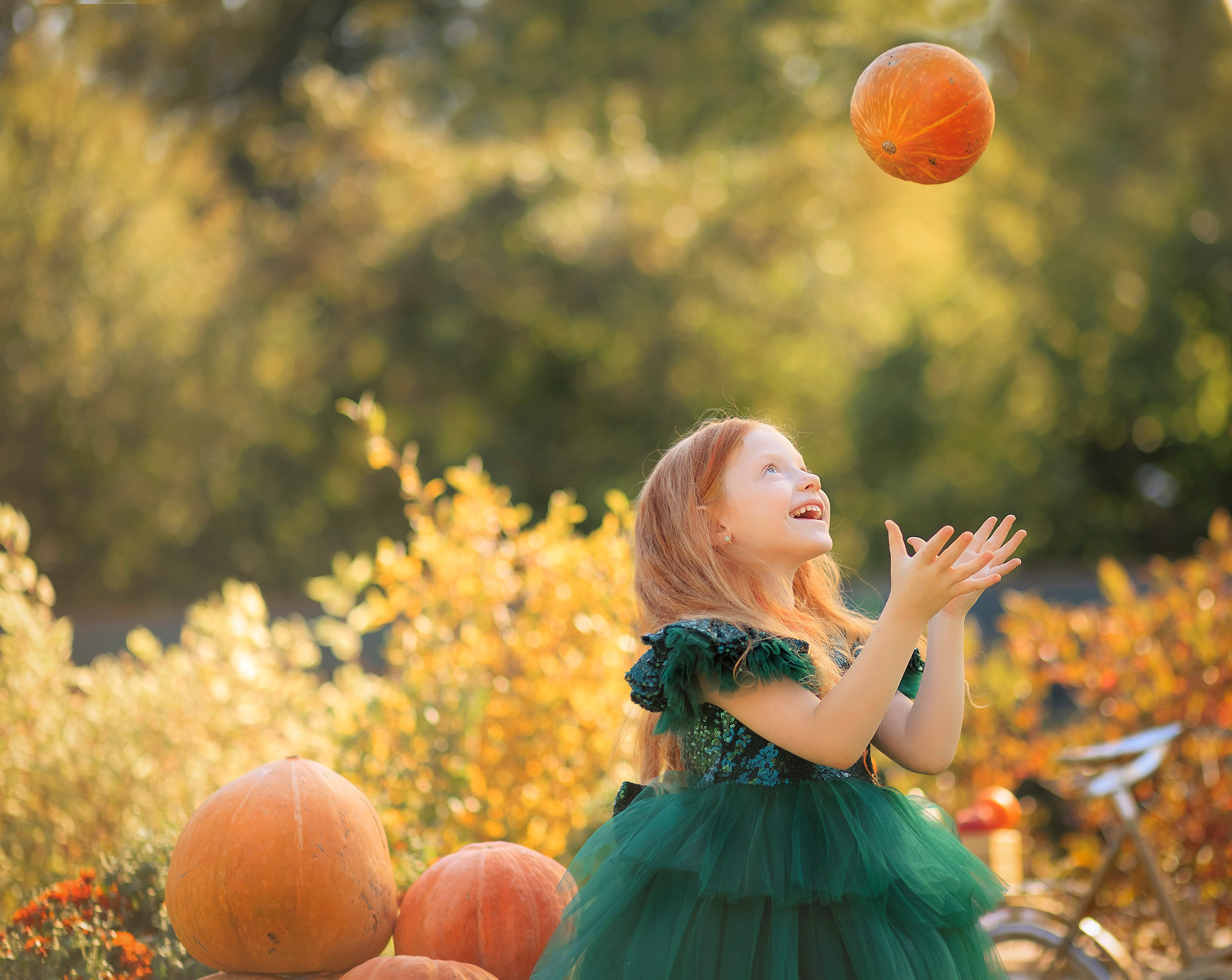 Осенние истории. Фотографирую в парке-заповеднике «Купидон»