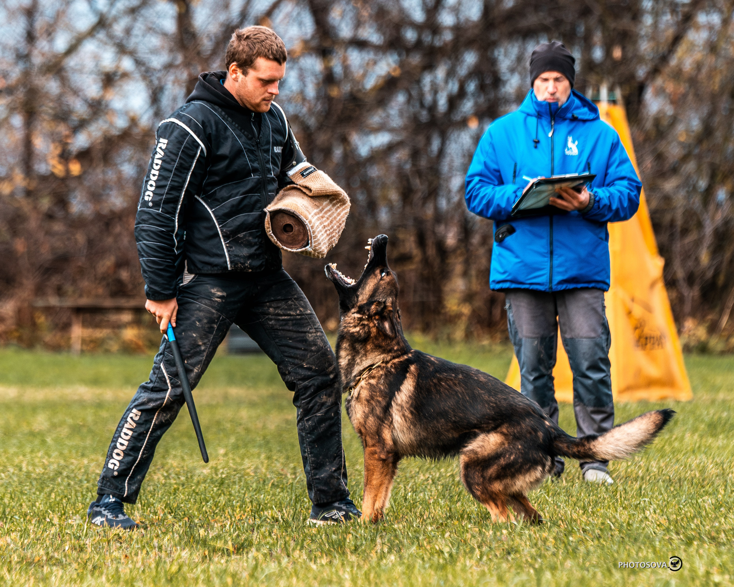 МЫ — КОМАНДА (соревнования) OKD, BH, IBGH, IGP. Фотограф-анималист, семейный фотограф в Москве и Подмосковье. Фотосъёмка кинологических дисциплин