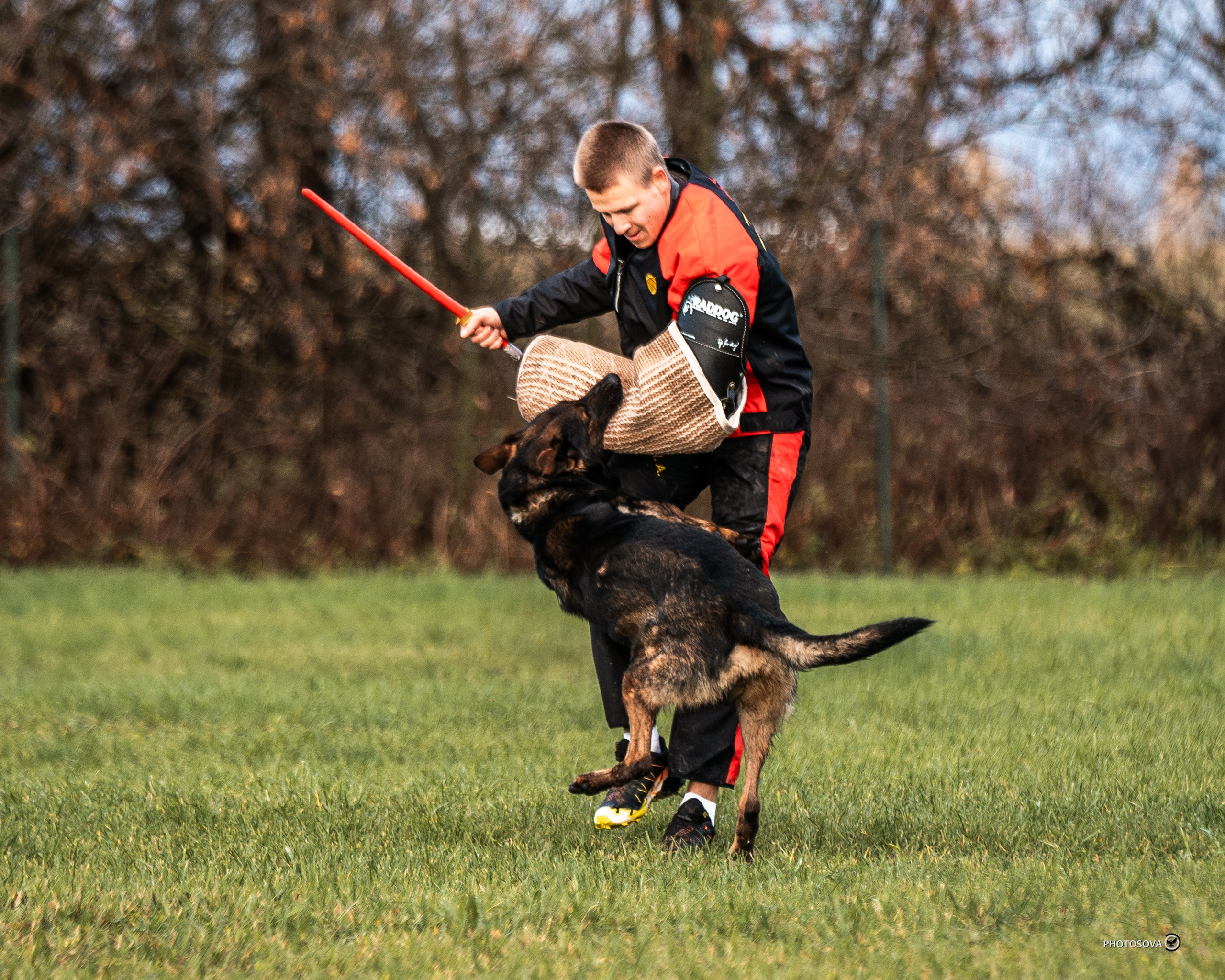 МЫ — КОМАНДА (соревнования) OKD, BH, IBGH, IGP. Фотограф-анималист, семейный фотограф в Москве и Подмосковье. Фотосъёмка кинологических дисциплин
