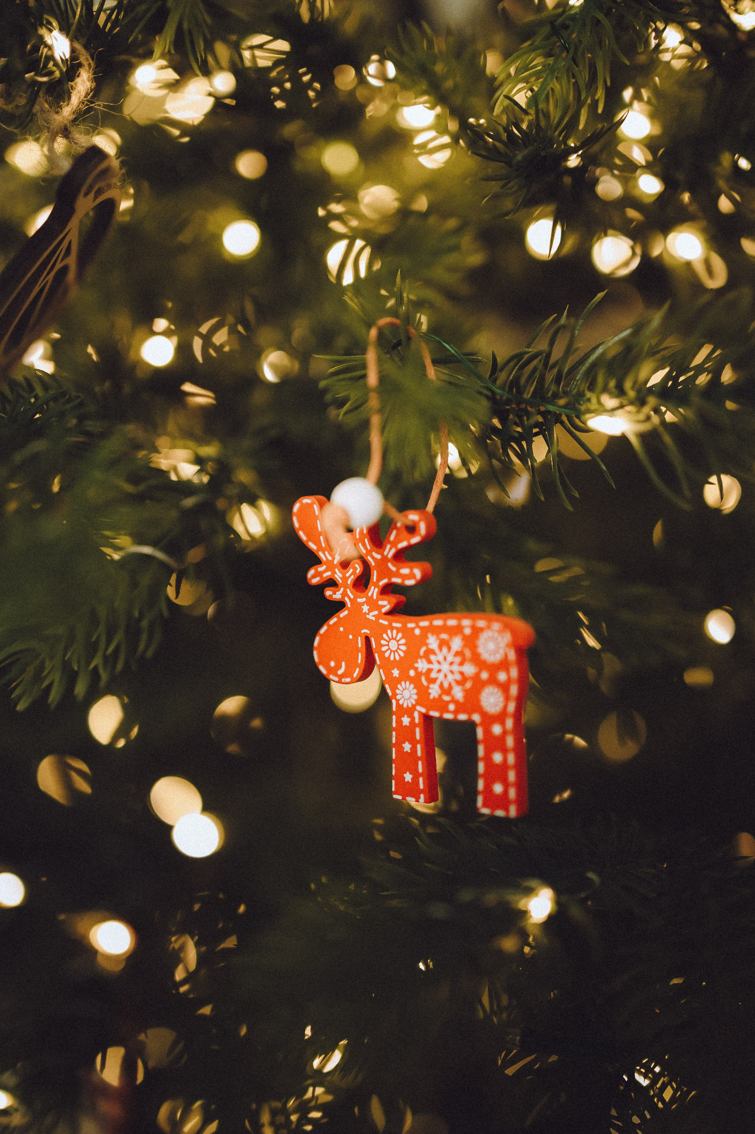 Топик и его семья