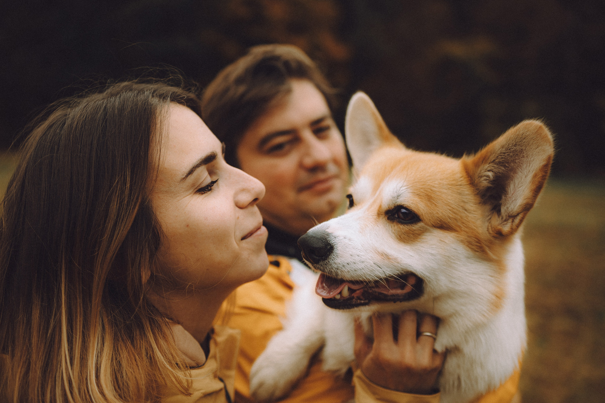 Вирджик и его семья