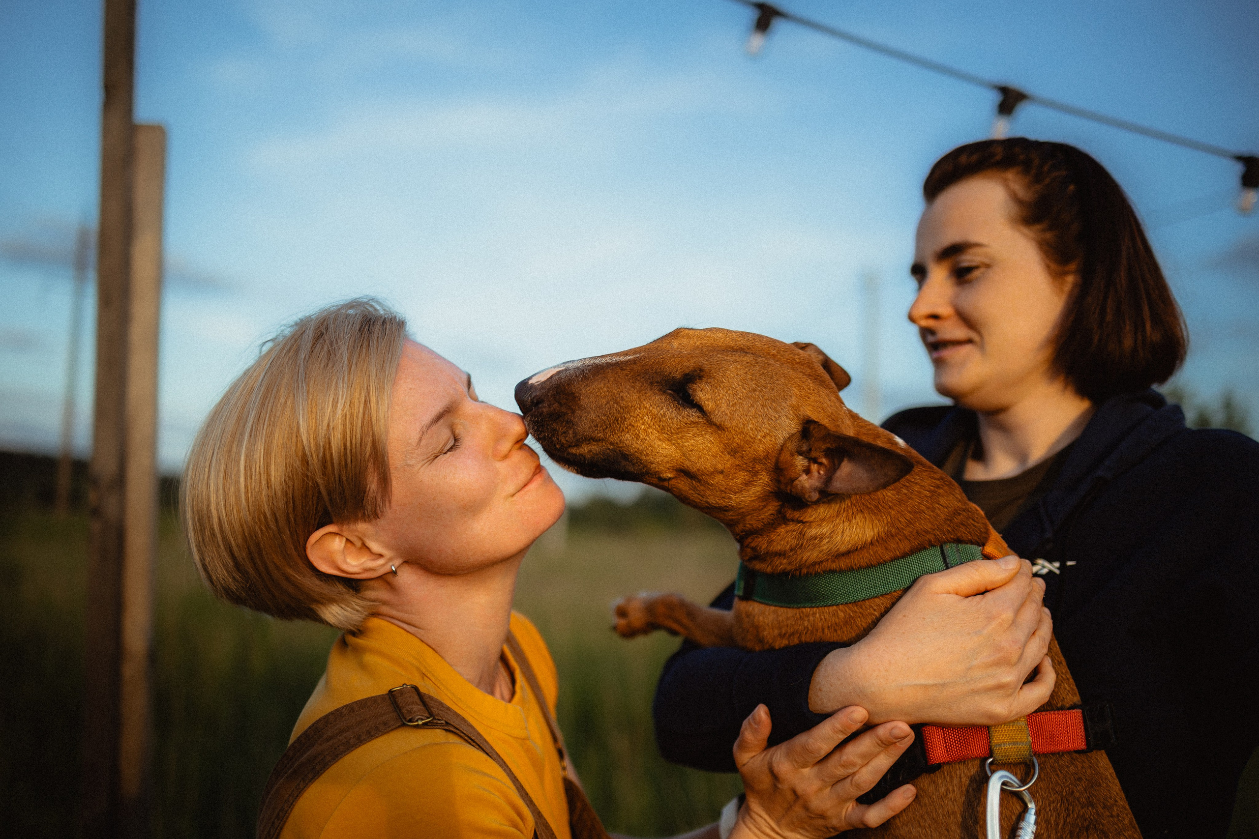 Выездной дог-тренинг от школы «Шерсть имею»