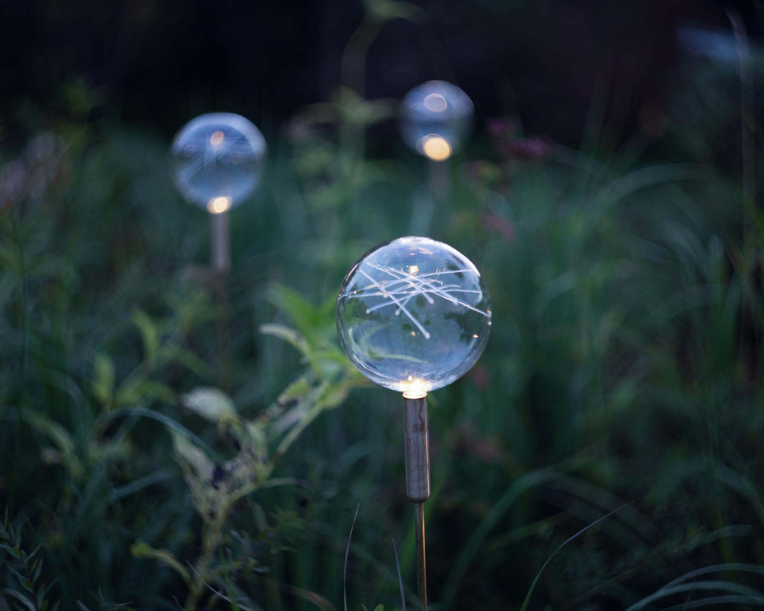 Декоративный ландшафтный свет TEMPARIUM. Фотограф Наталья Молчанова