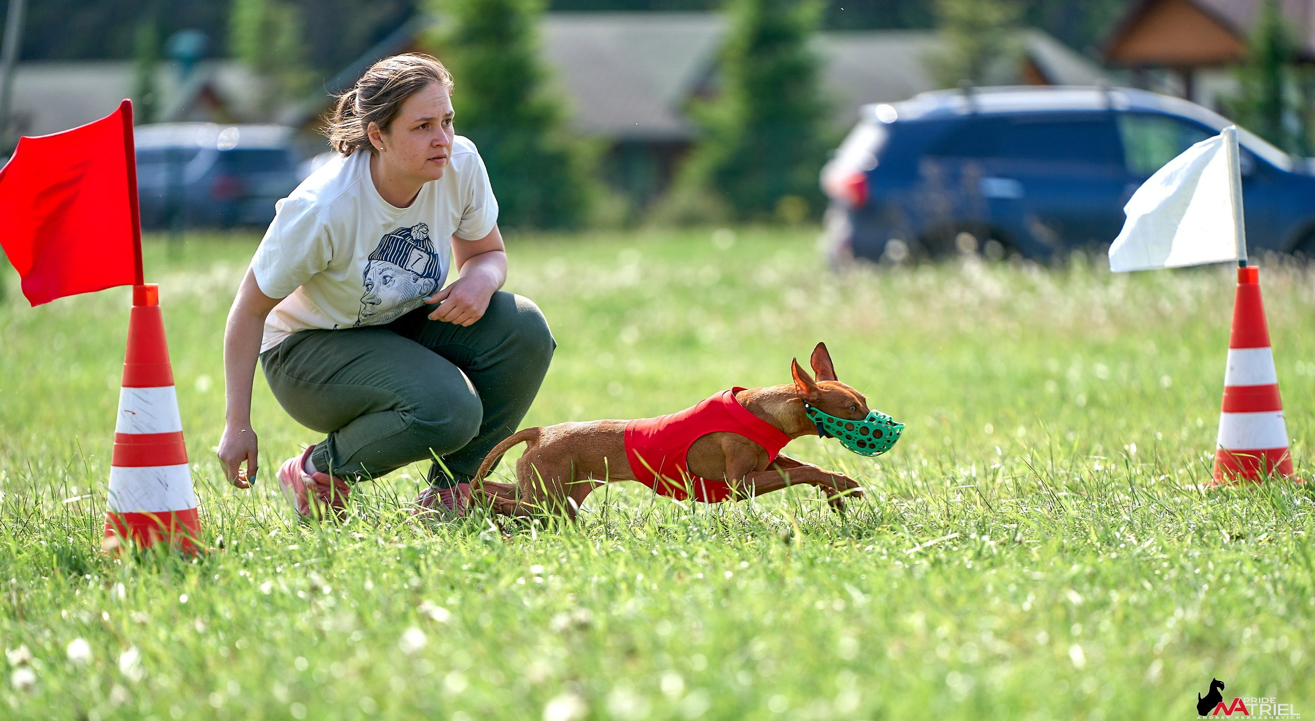 Съемка курсинг — галерея NATRIEL