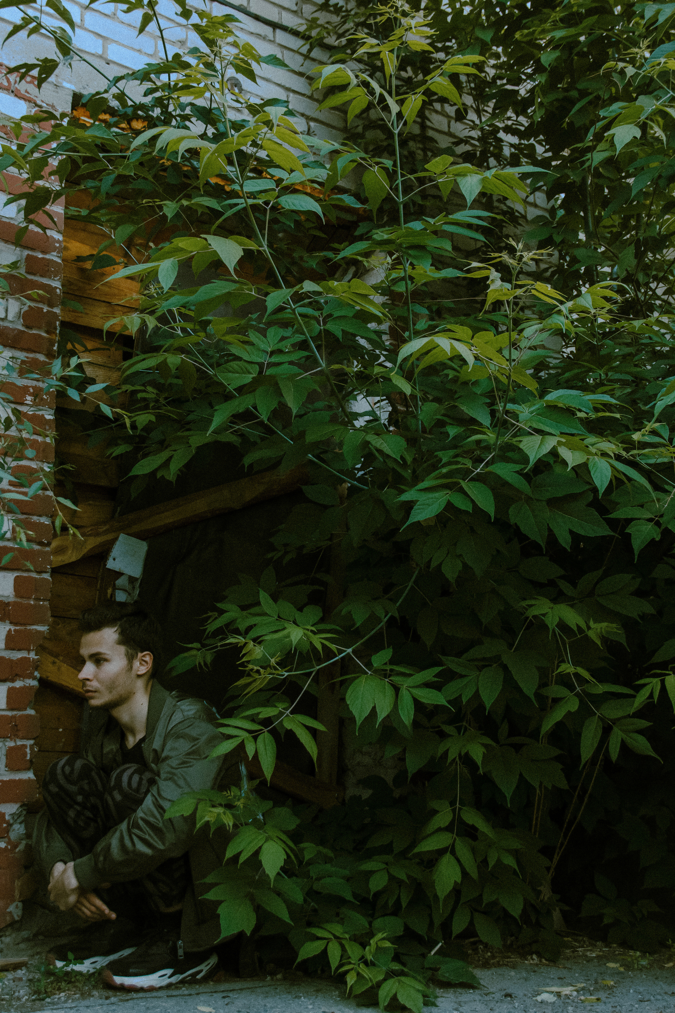 Аркаша. Главная