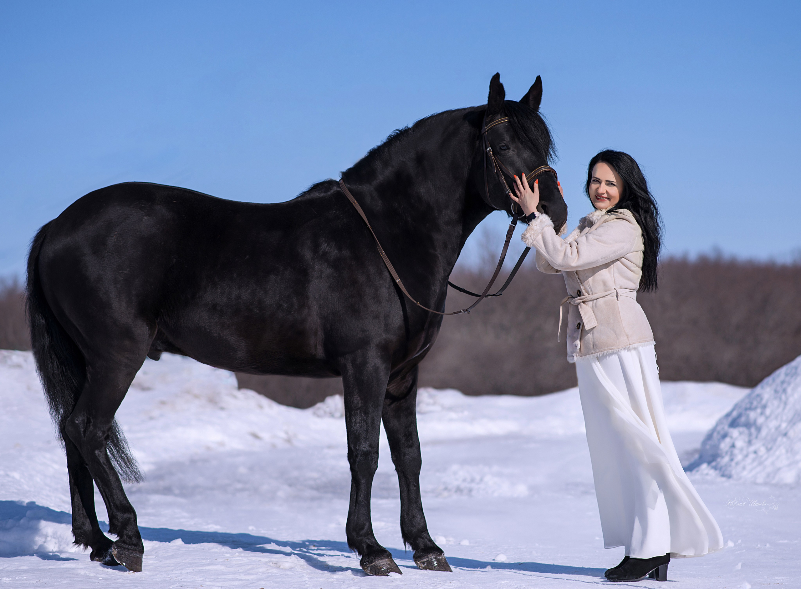 Светлана, Максим и Пират. Конный фотограф в Саратове Юлия Иванова