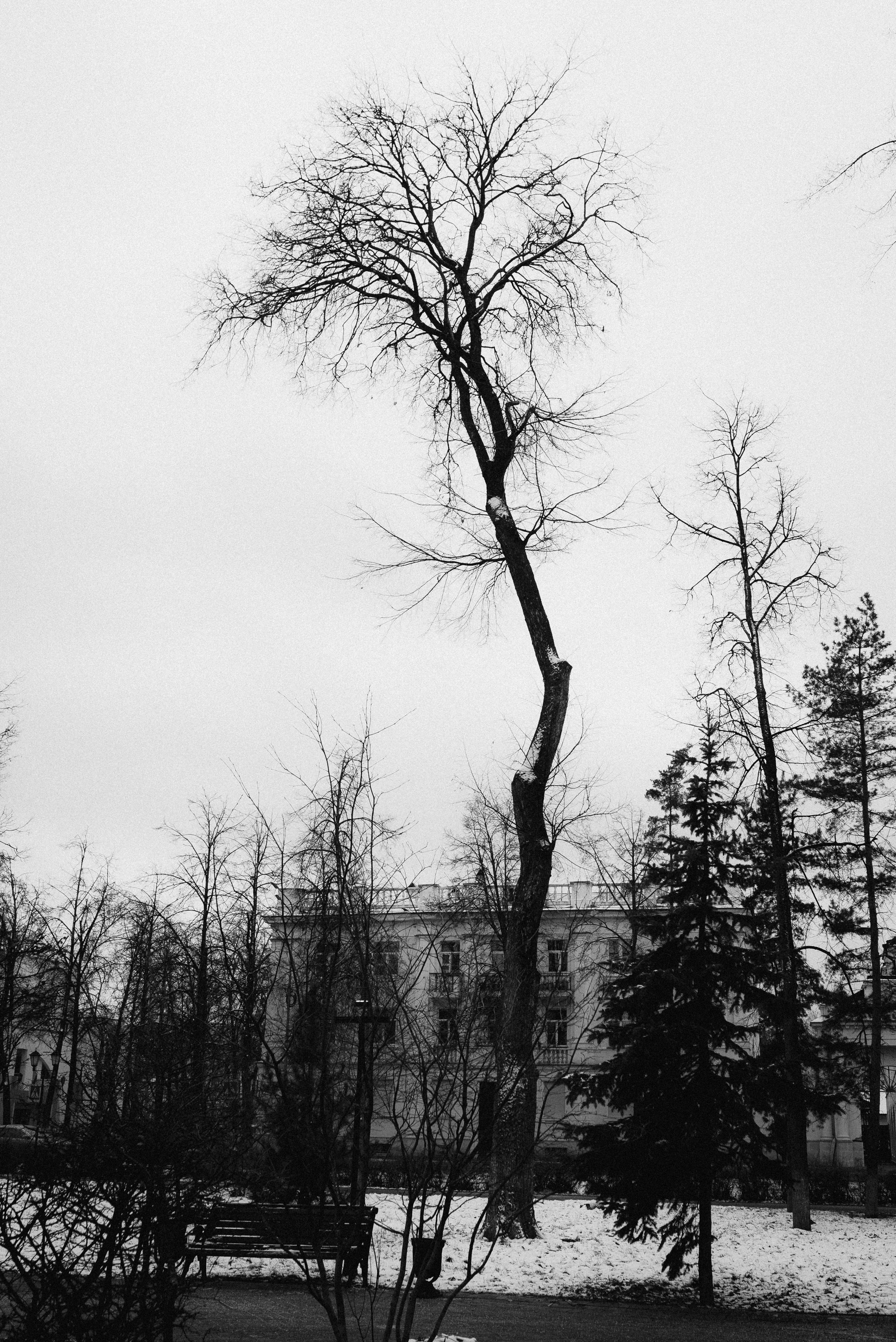 Проект #улицыгорода. Ярославль, площадь Челюскинцев. Документальный фотограф Илья Тихановский