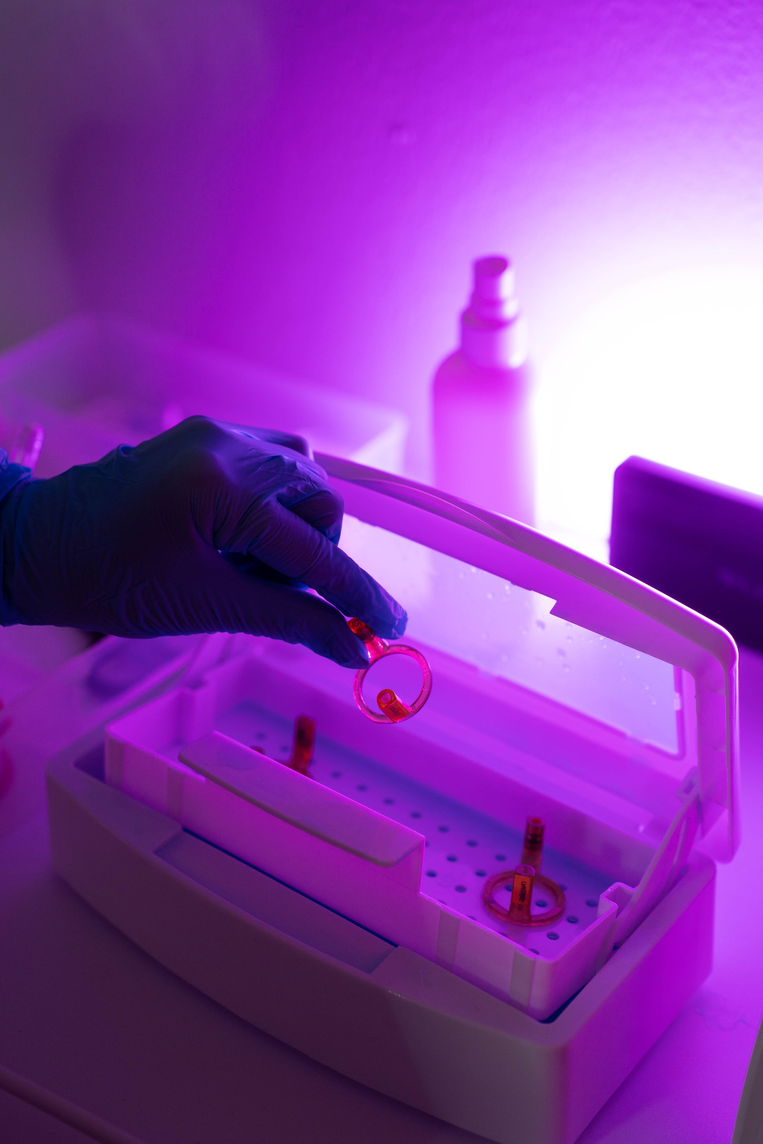 ALEXSANDRIT STUDIO. Фотограф Абакумова Анастасия