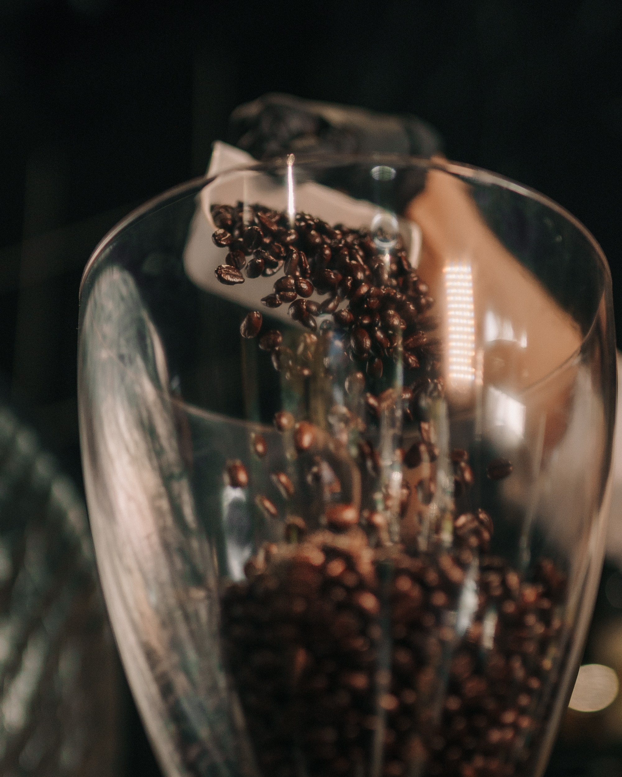 GELATO. Портретный и Репортажный Фотограф Москва