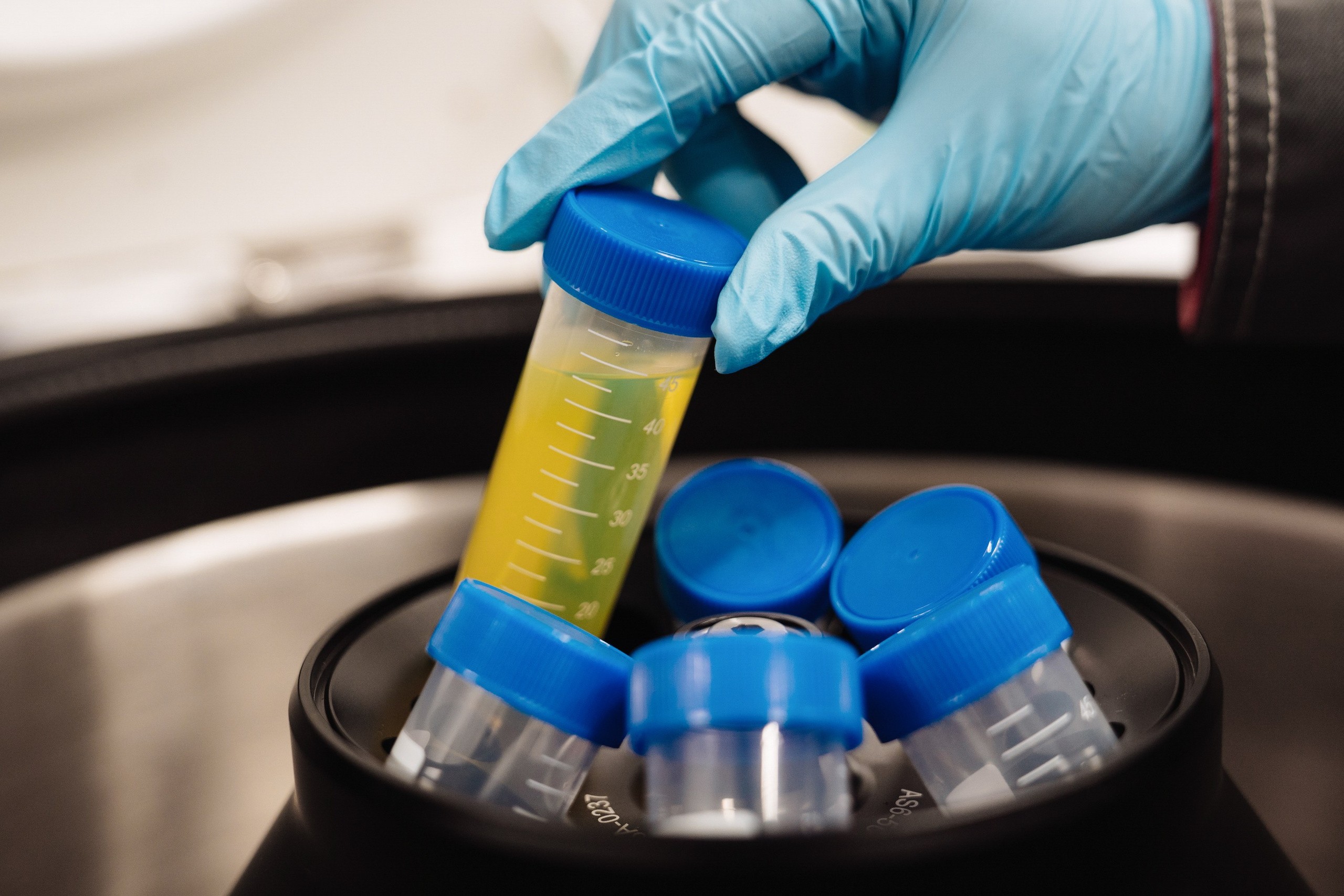 ООО «КАПРОН»