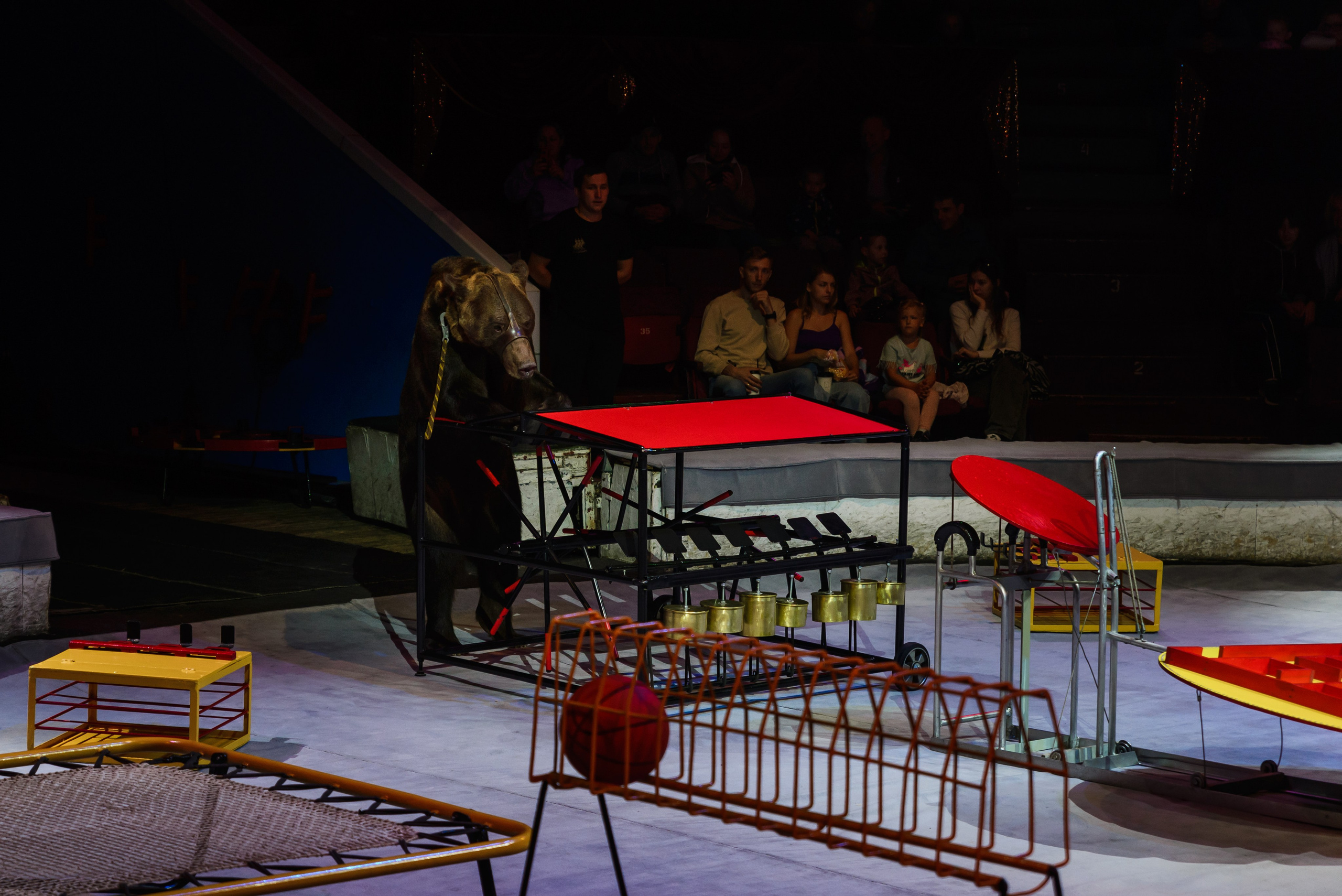 Пермский государственный цирк. Фотограф в Ханты-Мансийске Евгений Жуланов