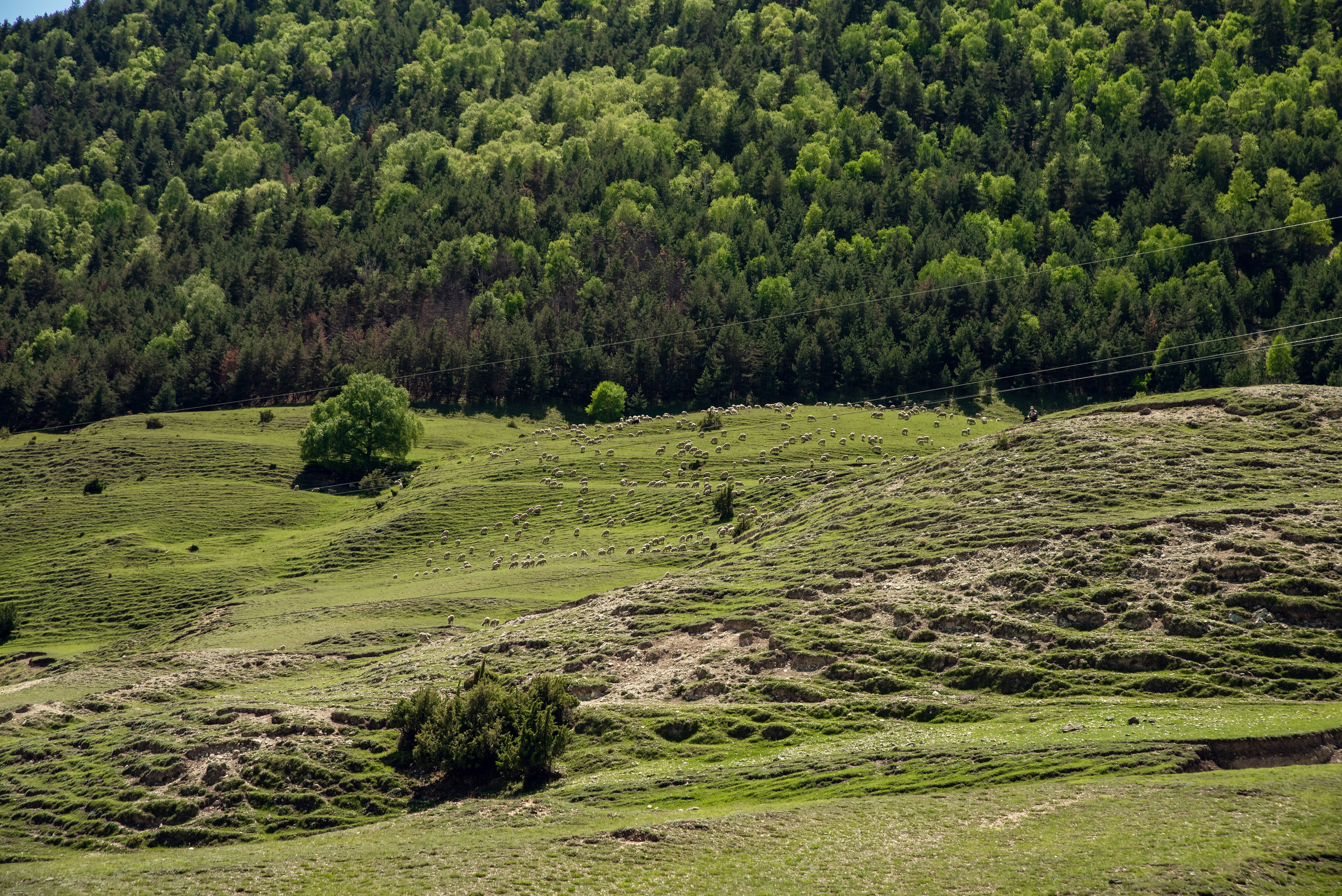 Дагестан. Фотограф Крещение Венчание Москва
