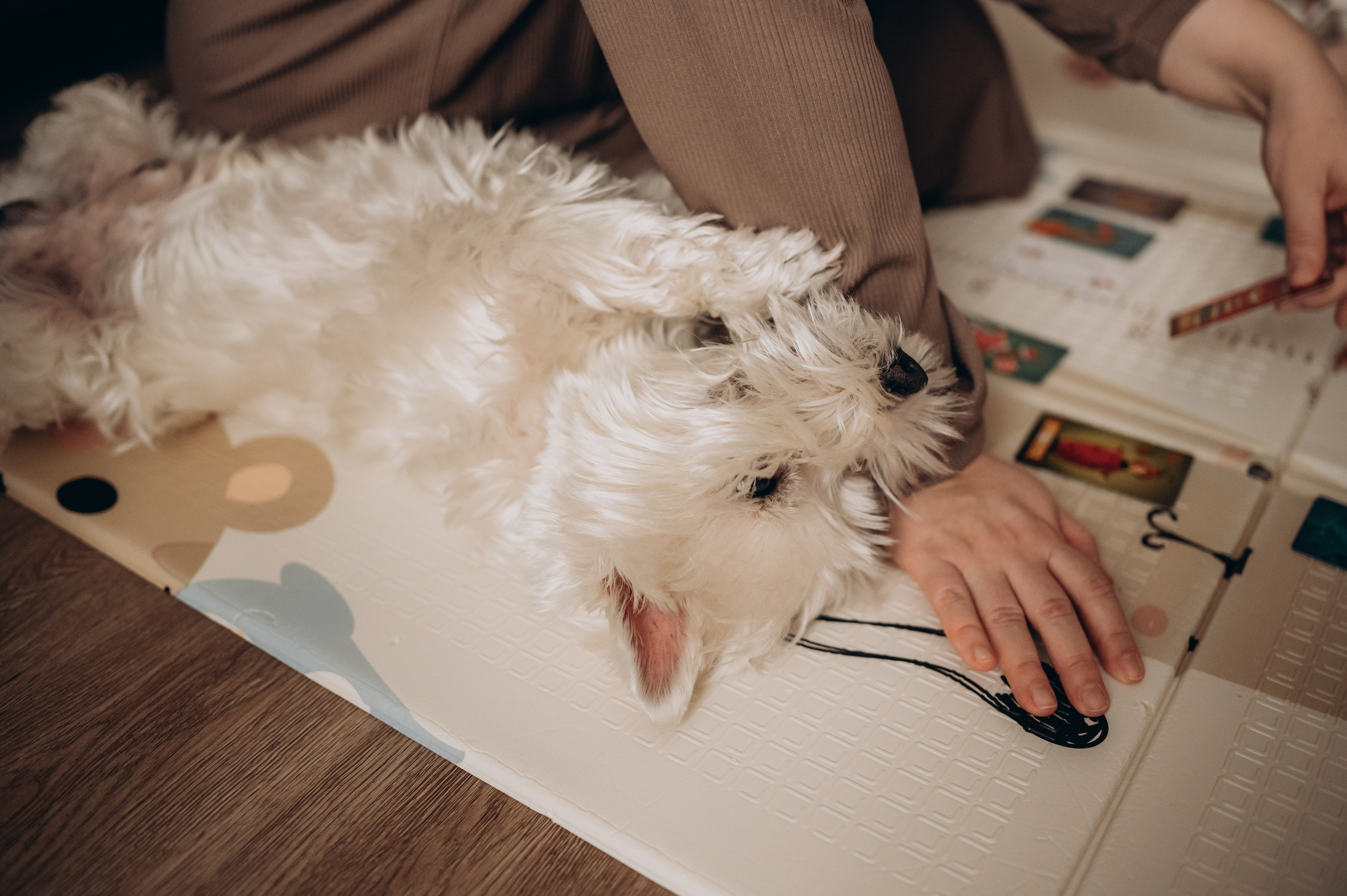 Юлия Юрий Аня и Игорь. Детский и семейный фотограф в Москве