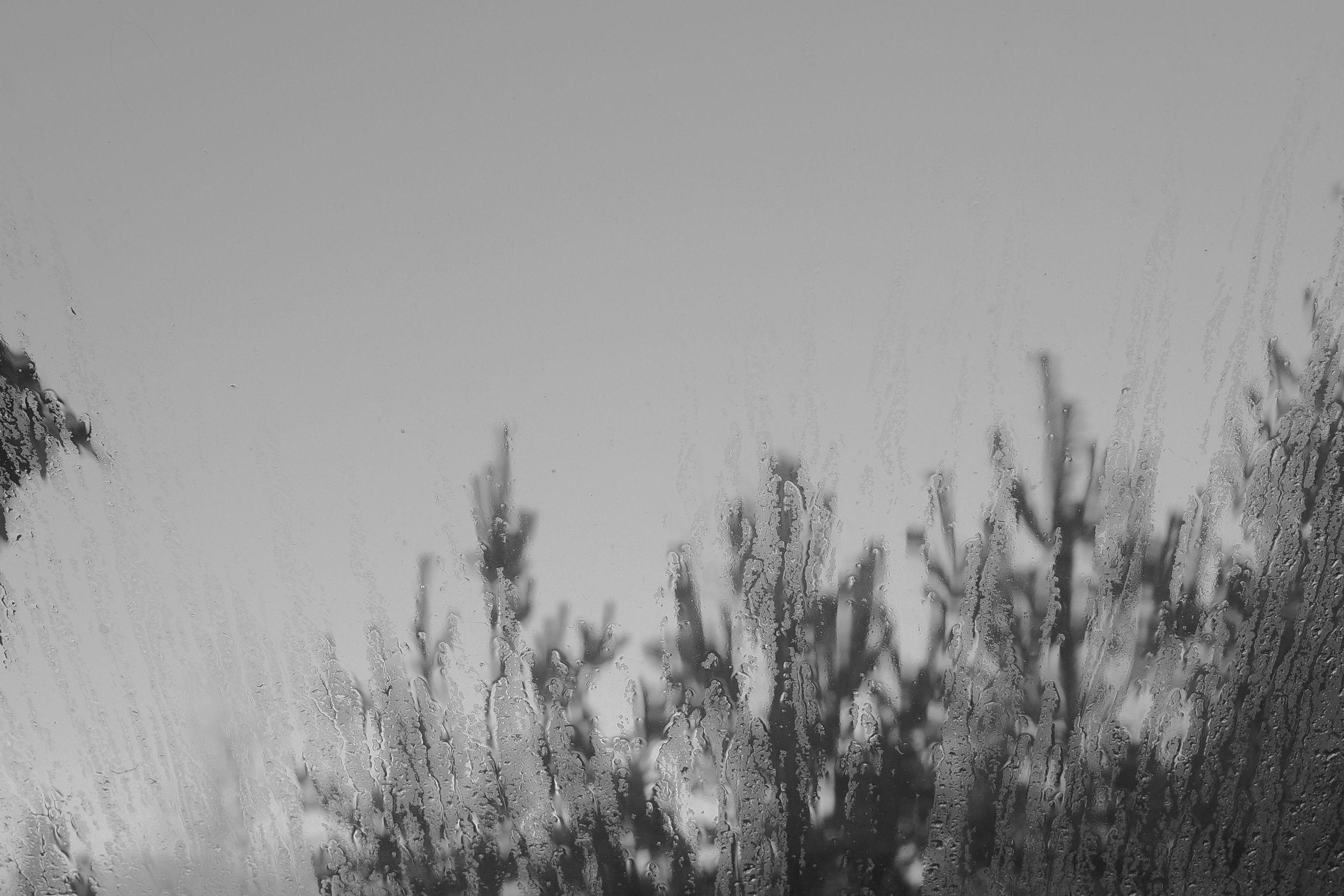 — 2025. Фотограф Злата Спицына