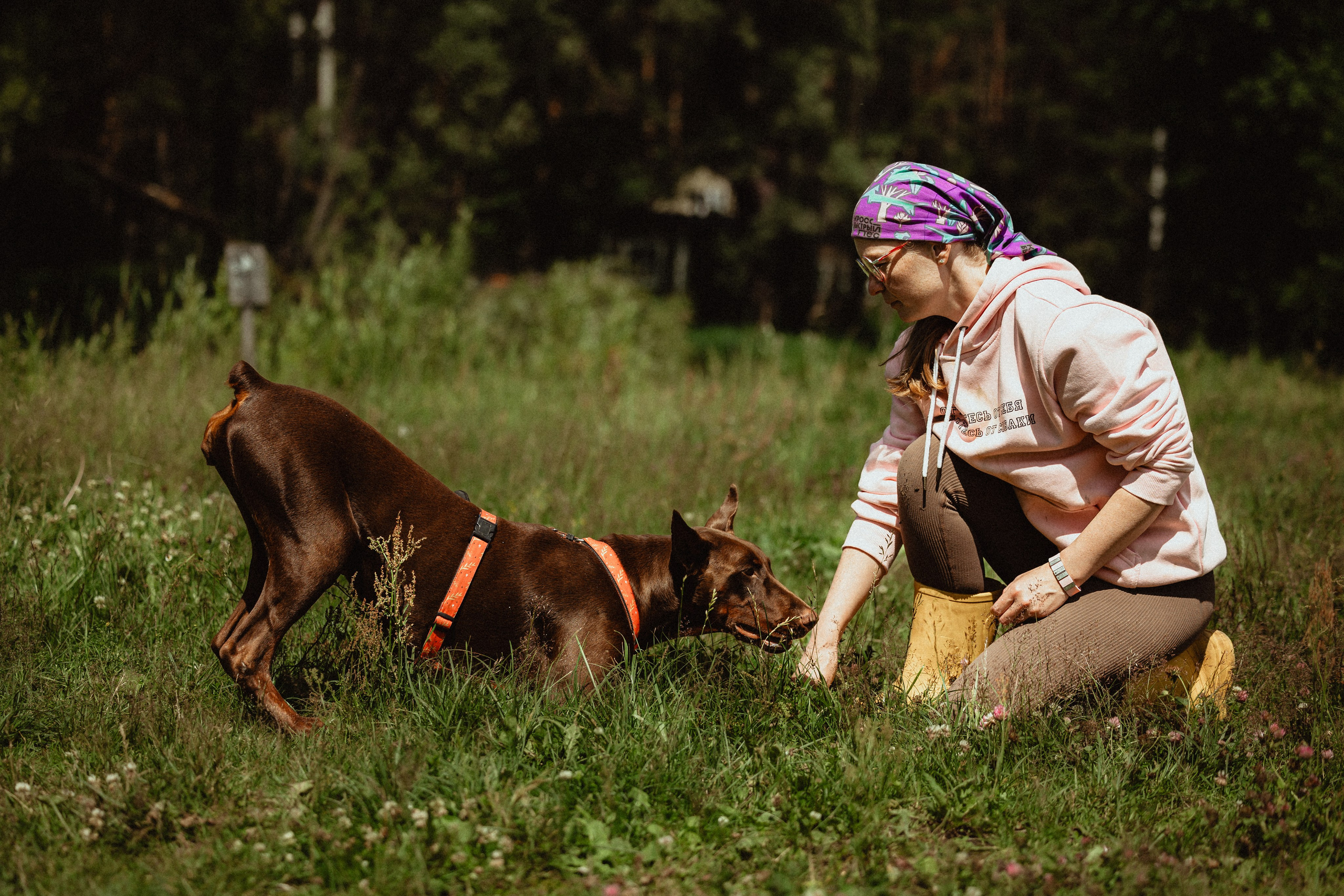 Выездной дог-тренинг от школы «Шерсть имею»