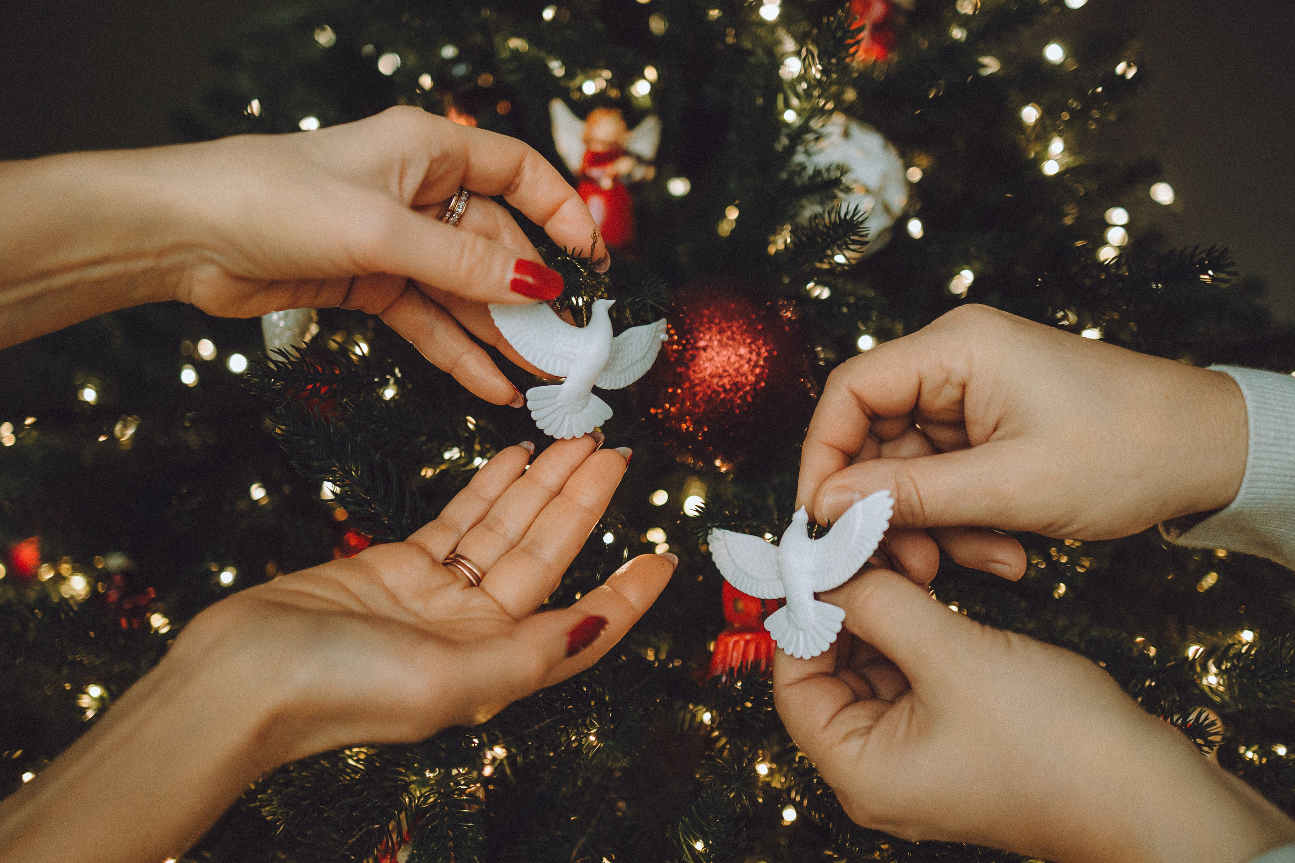 Джули, Шелли и их семья