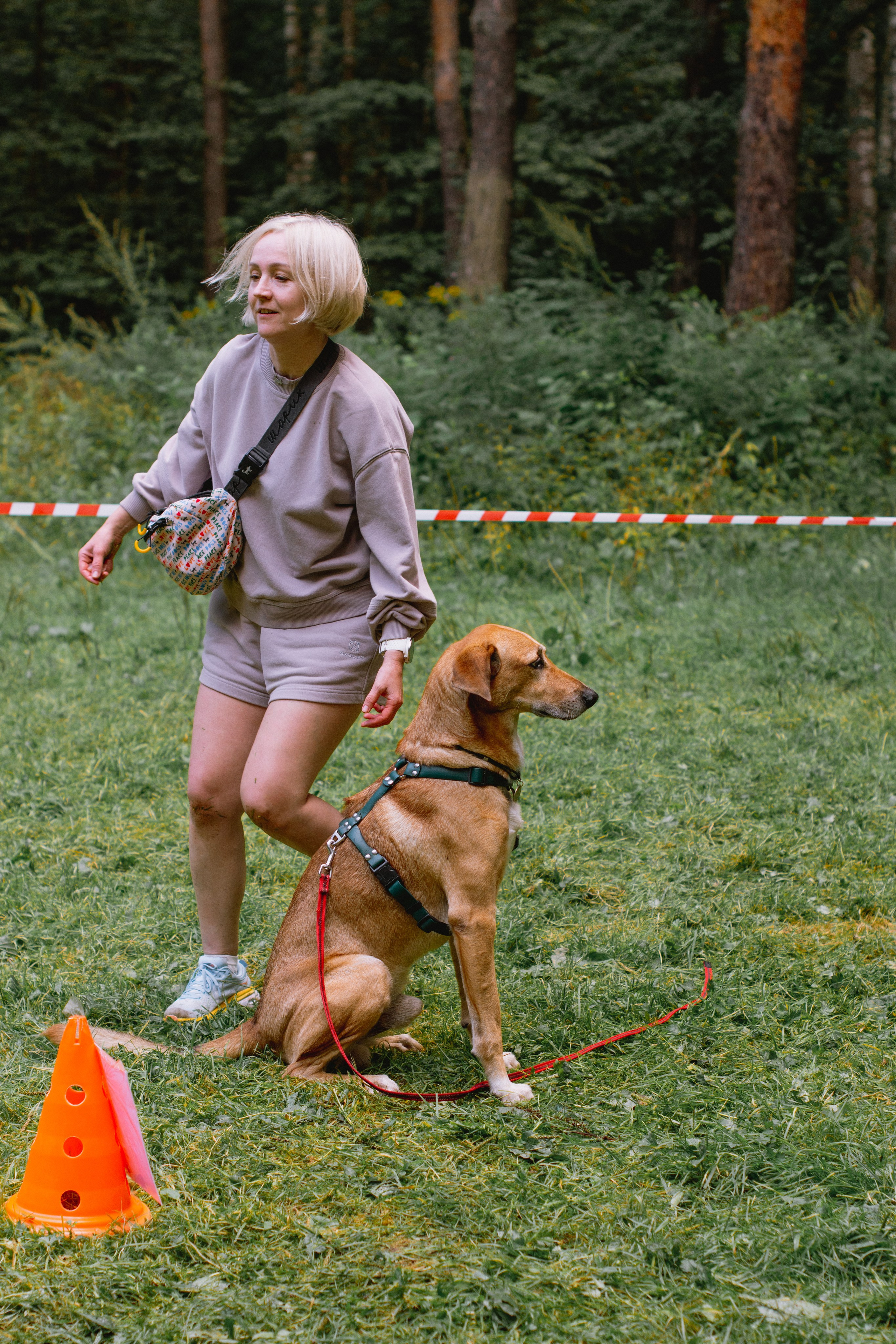 Репортаж спортивного мероприятия с собаками в Москве. Фотограф собак, анималист в Москве Кира Яковлева