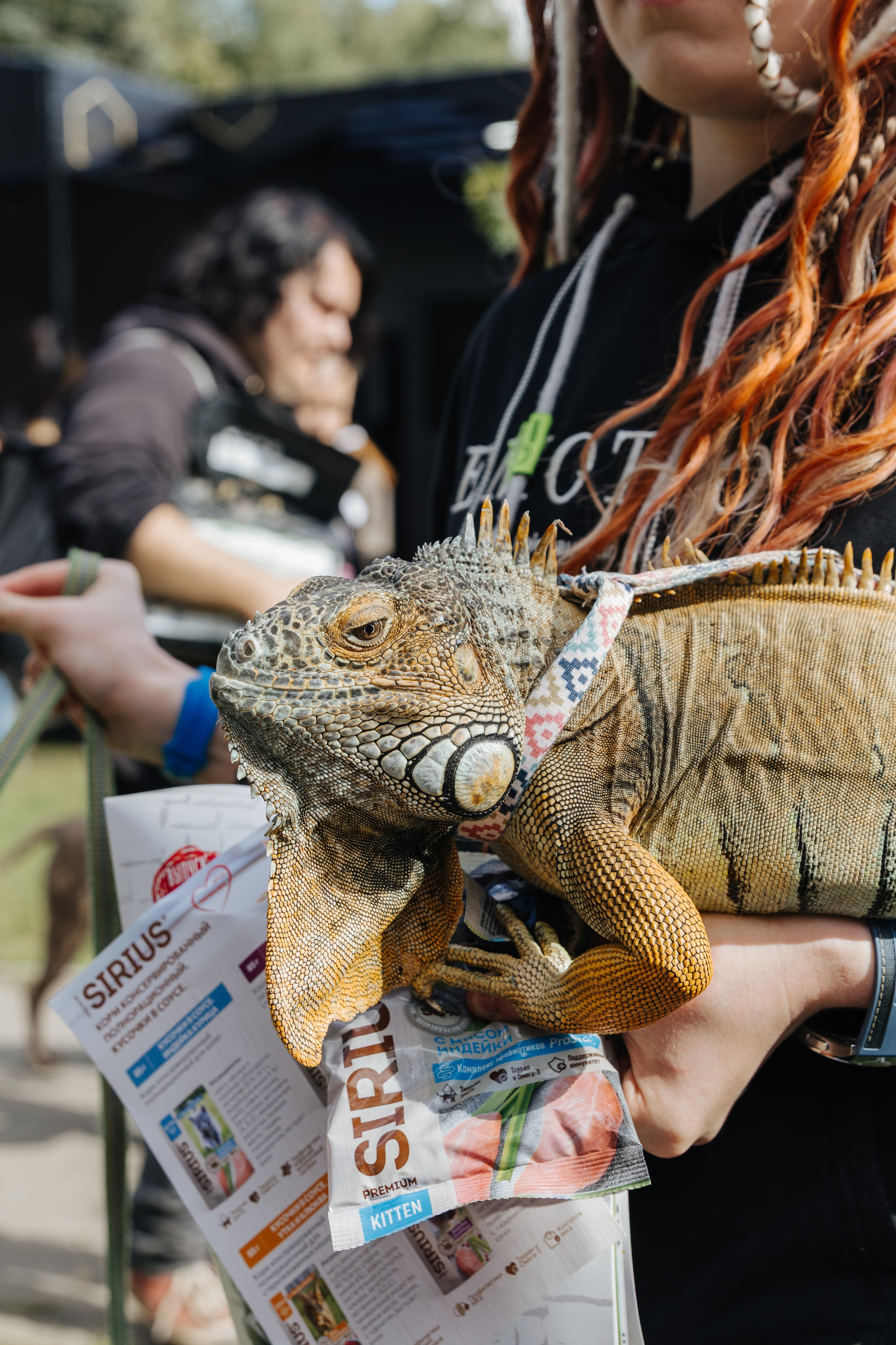 Хвостатый репортаж. Аксана Лисовская фотограф в Москве. Фотографии с характером