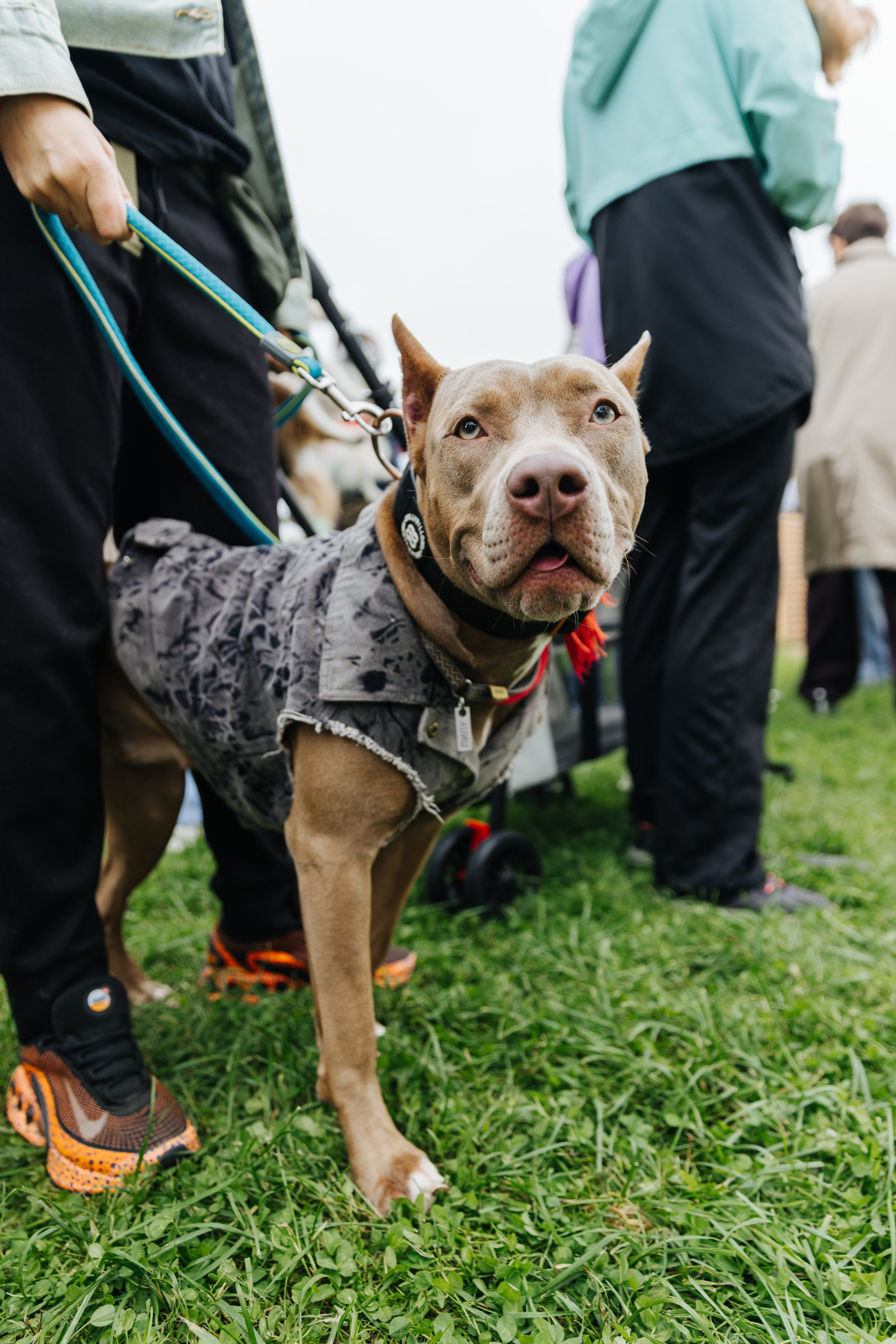 Хвостатый репортаж. Аксана Лисовская фотограф в Москве. Фотографии с характером