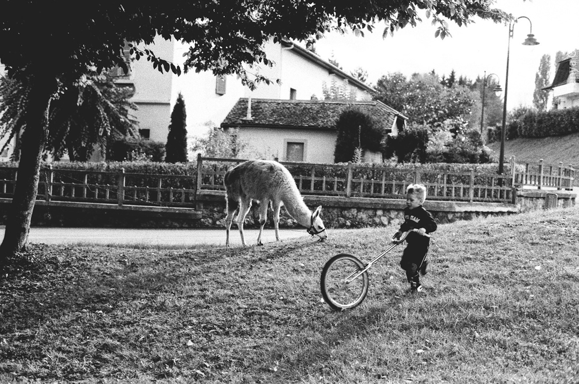 Документальное и жанровое фото. Фотограф в Петербурге Татьяна Гуляева