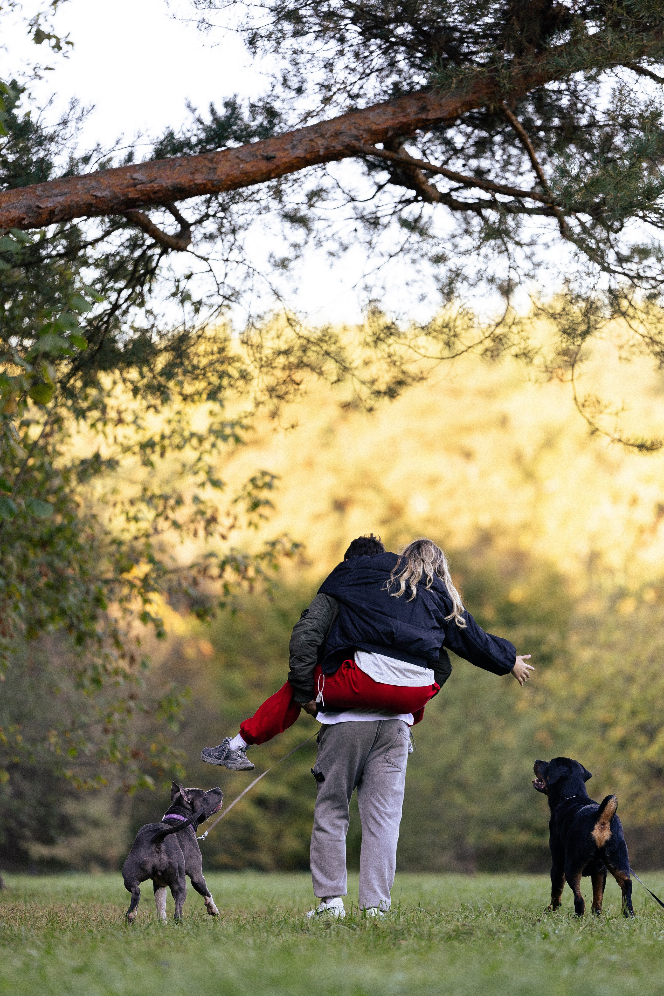 Катя, Леша, Лея и Трой. Фотограф и видеограф анималист Аганина Дарья