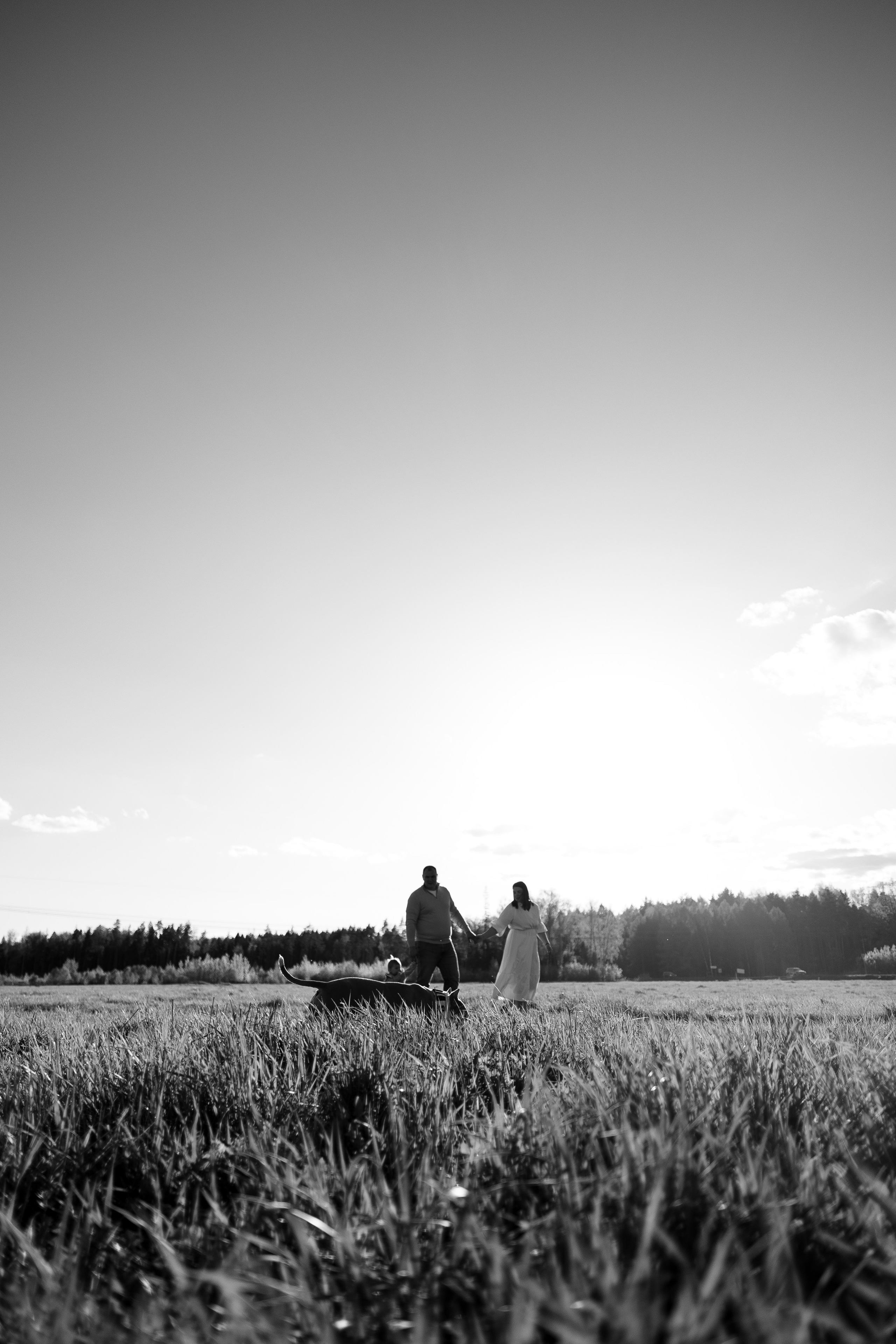 Шуня и ее семья. Фотограф и видеограф анималист Аганина Дарья