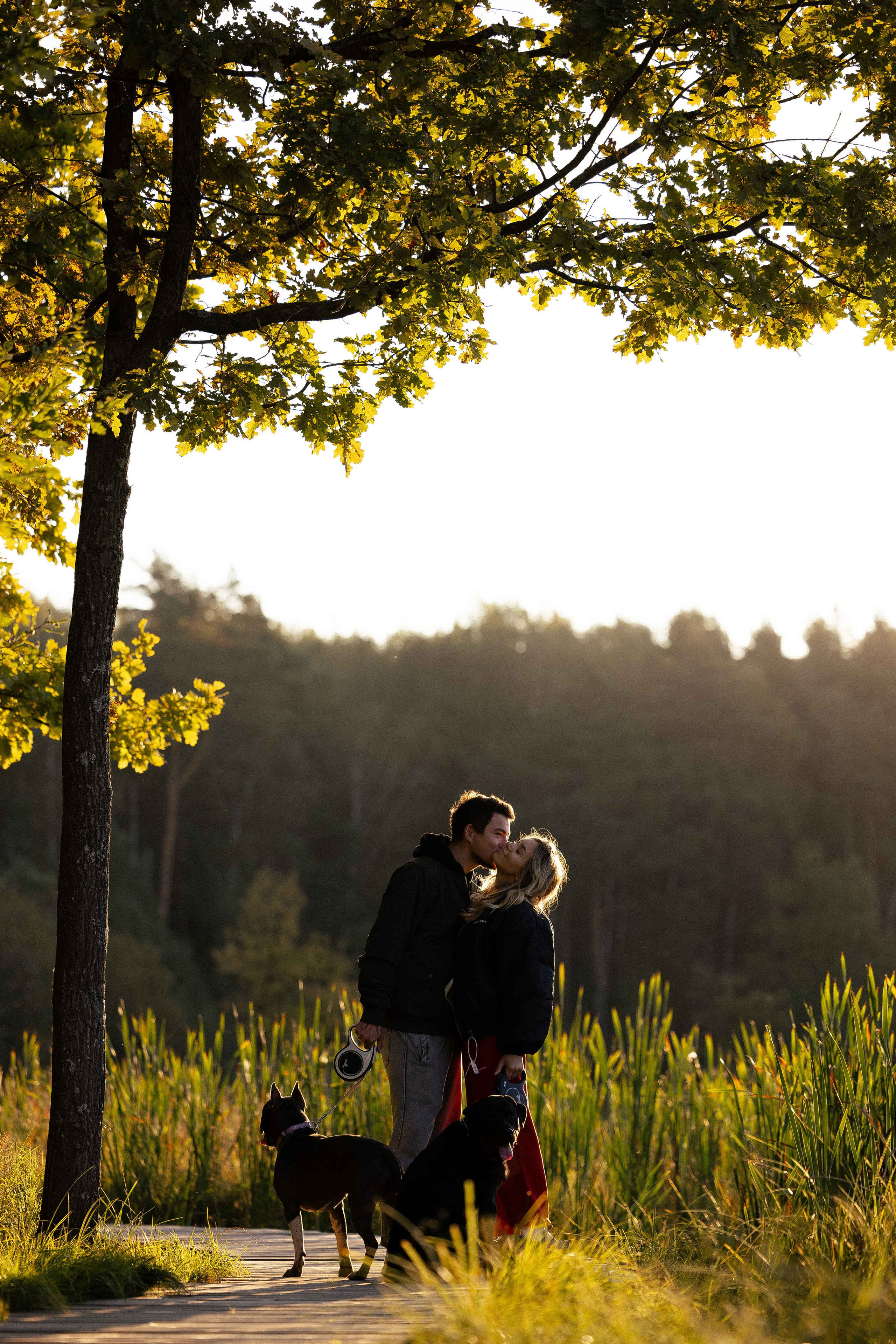 Катя, Леша, Лея и Трой. Фотограф и видеограф анималист Аганина Дарья