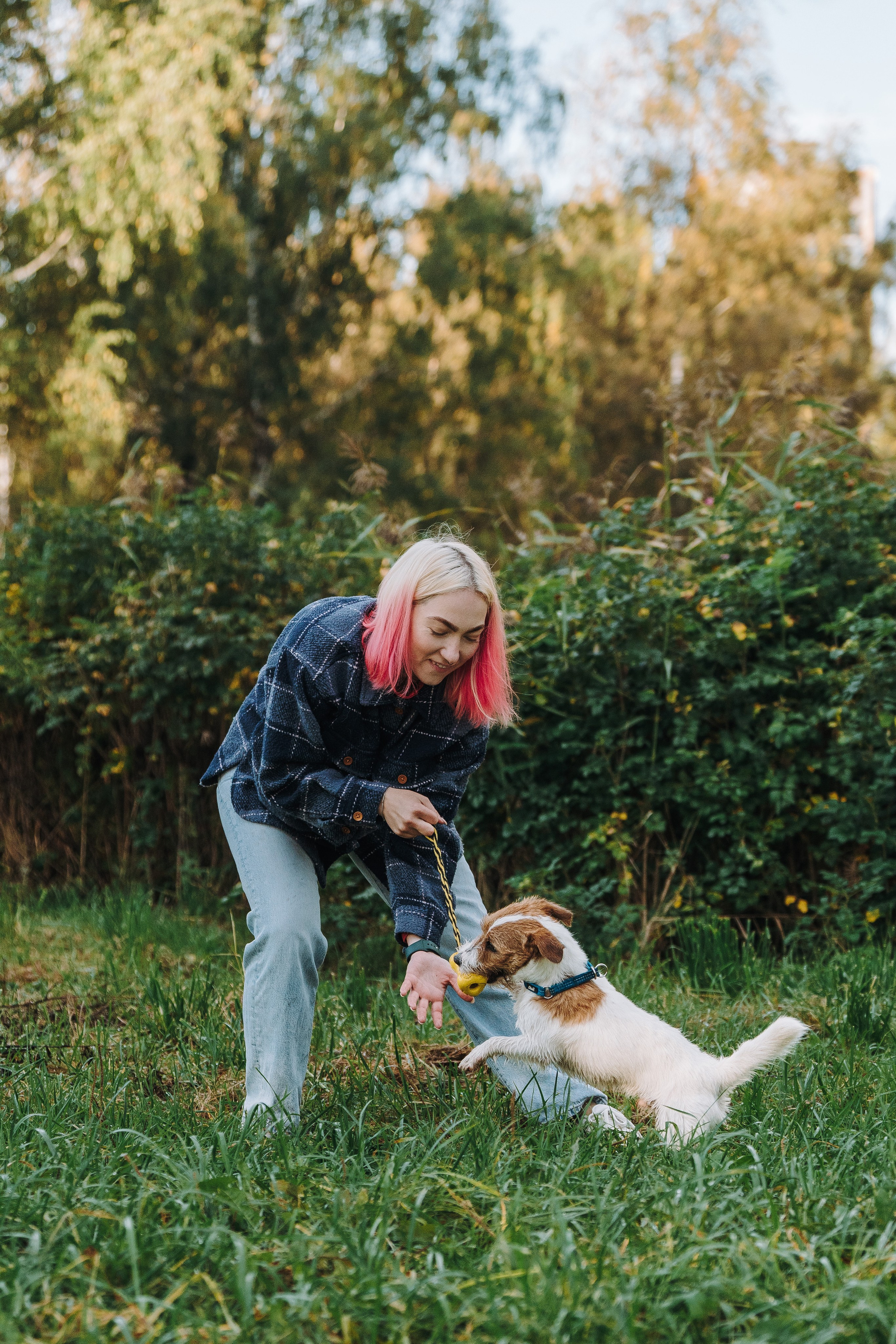 Фотосессия с маленькой собакой Спб. Фотограф анималист в Спб недорого Олеся Майорова