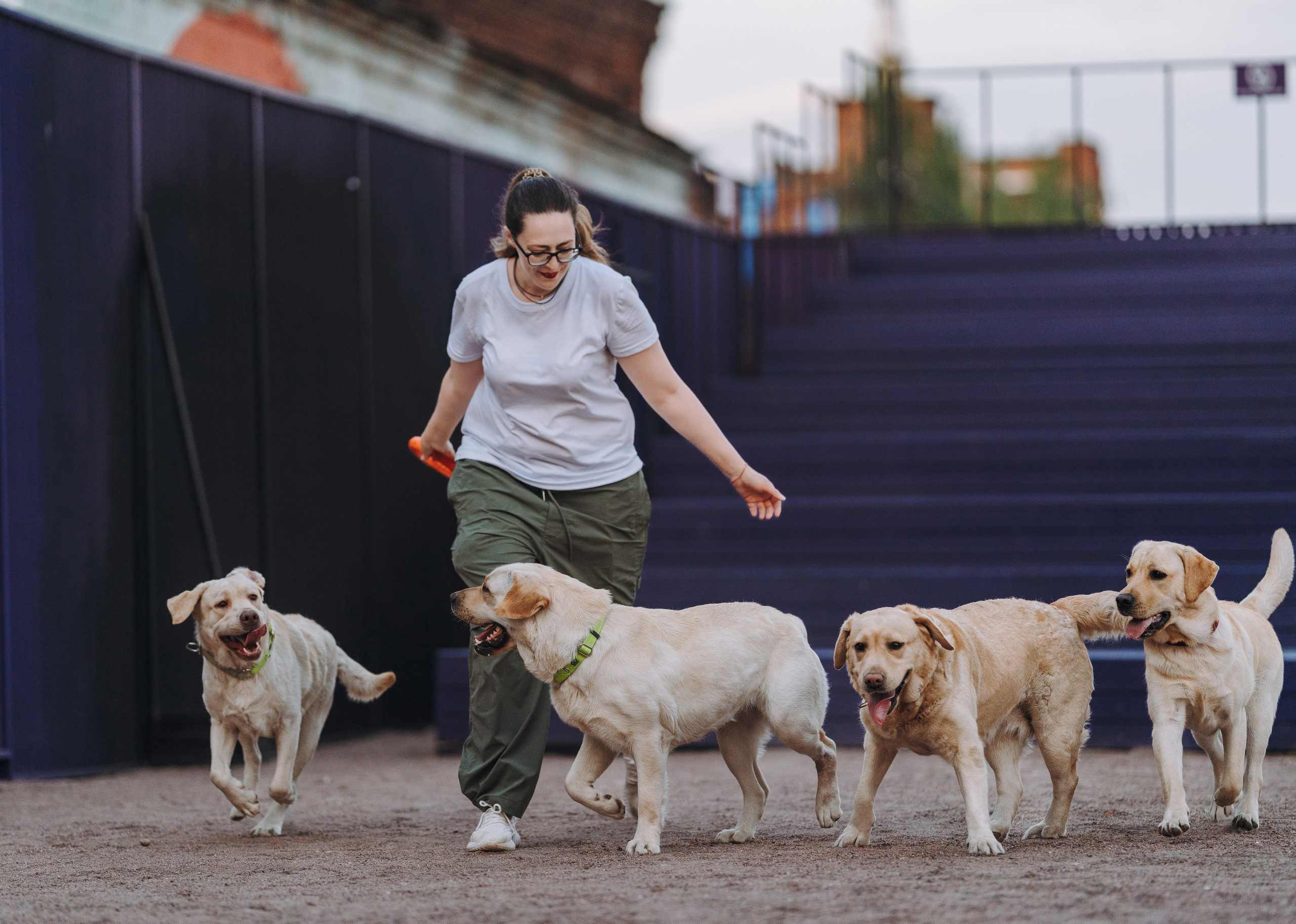 Фотосъёмка с вашими питомцами. Фотограф анималист в Спб недорого Олеся Майорова