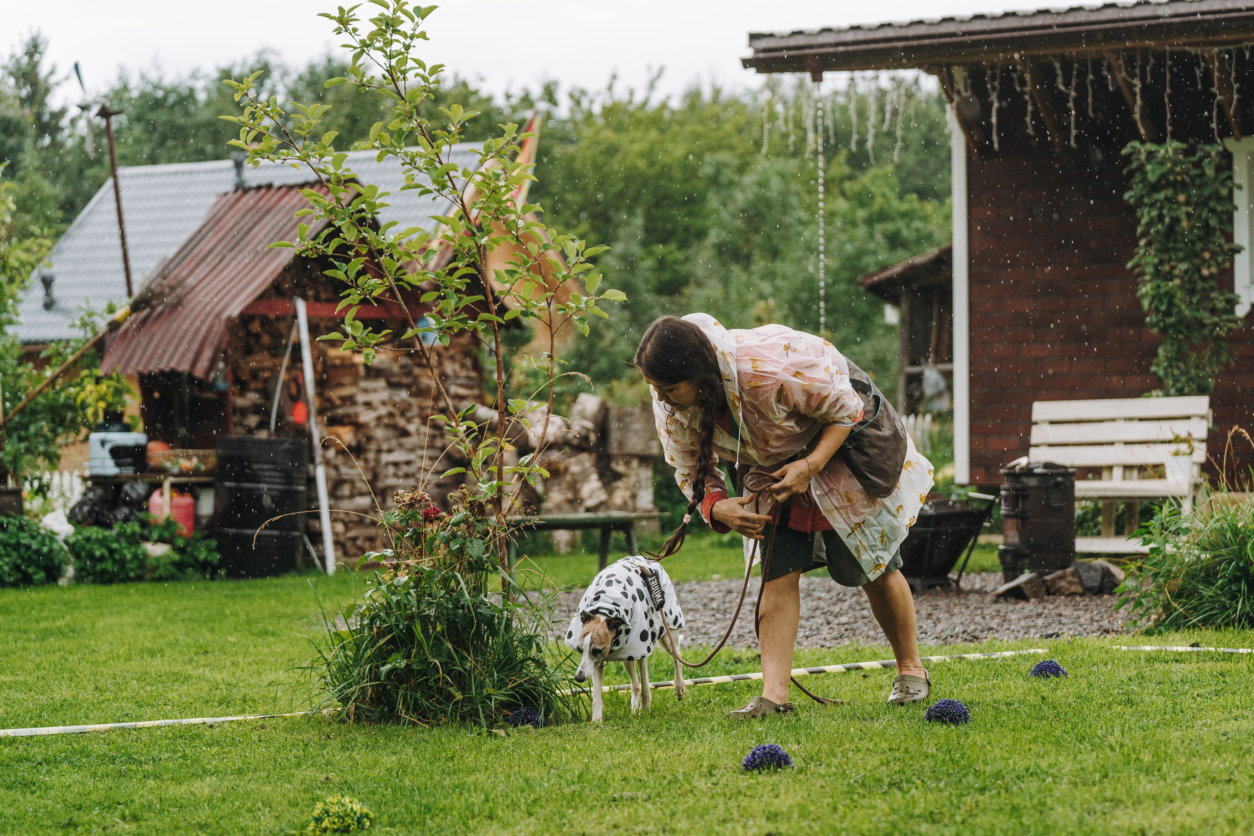Соревнования по ноузворку в Новожилово. Фотограф анималист в Спб недорого Олеся Майорова