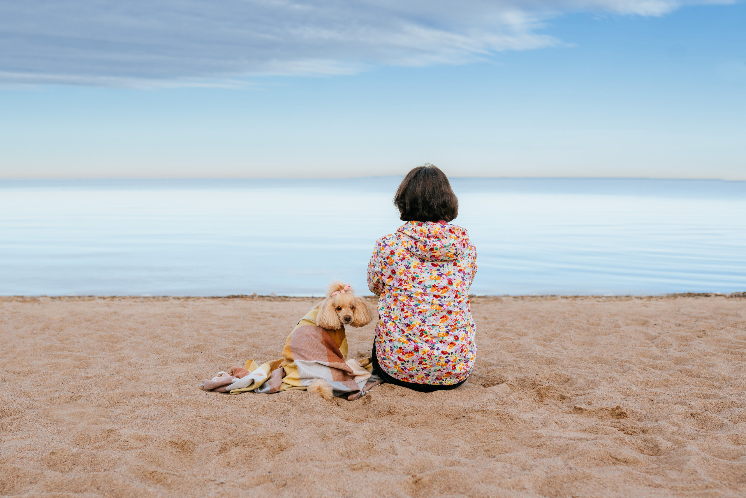 Фотосессия с собакой на пляже. Фотограф анималист в Спб недорого Олеся Майорова