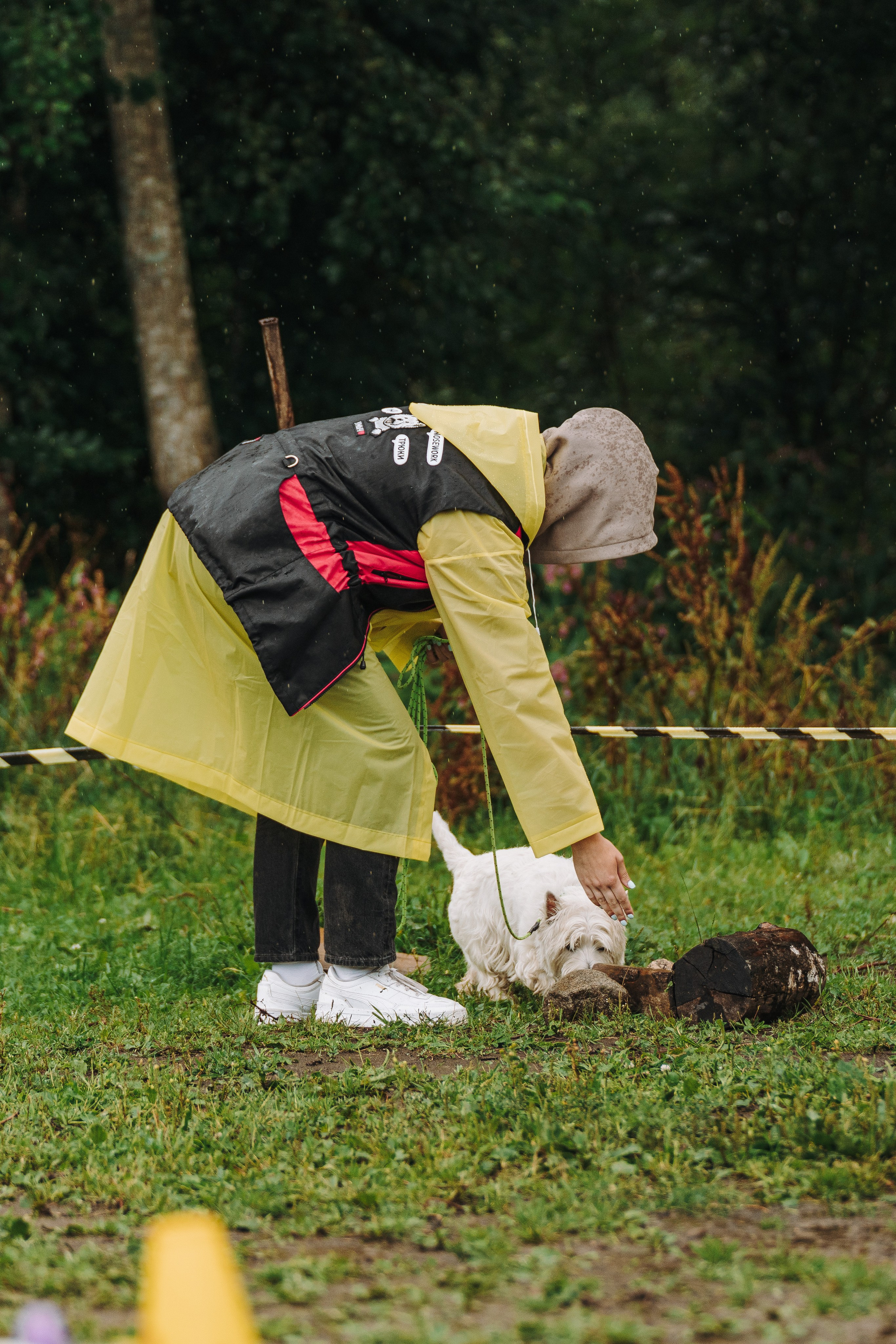 Соревнования по ноузворку в Новожилово. Фотограф анималист в Спб недорого Олеся Майорова