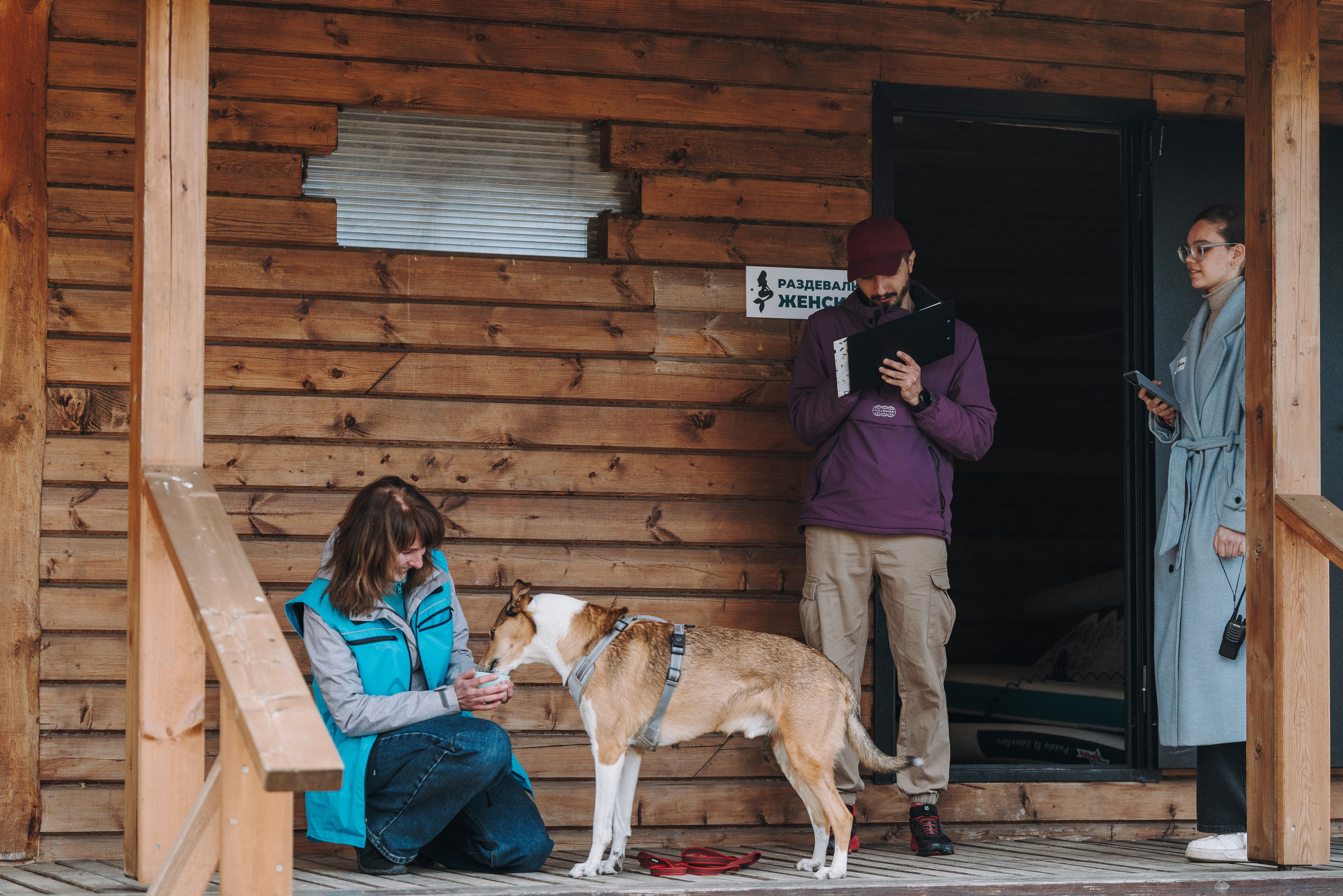 Соревнования по ноузворку в Лосево. Фотограф анималист в Спб недорого Олеся Майорова