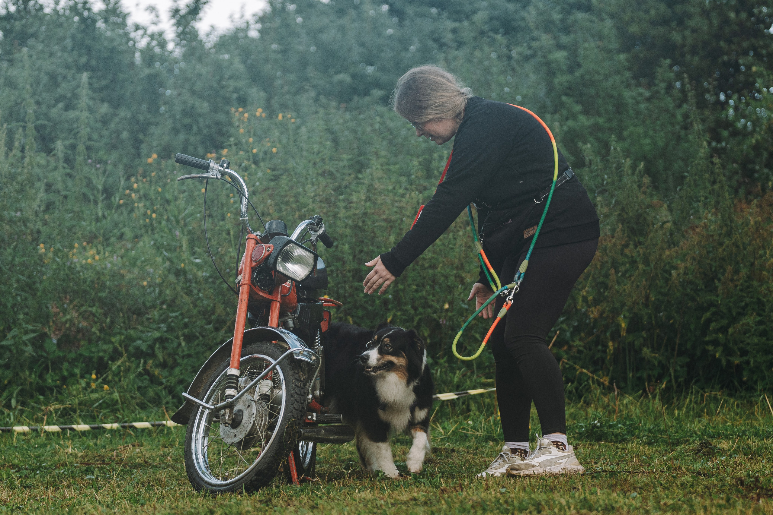Соревнования по ноузворку в Новожилово. Фотограф анималист в Спб недорого Олеся Майорова